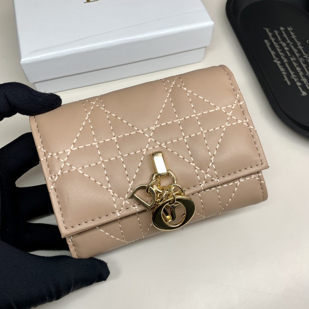 Dior Lady Beige wallet everyday