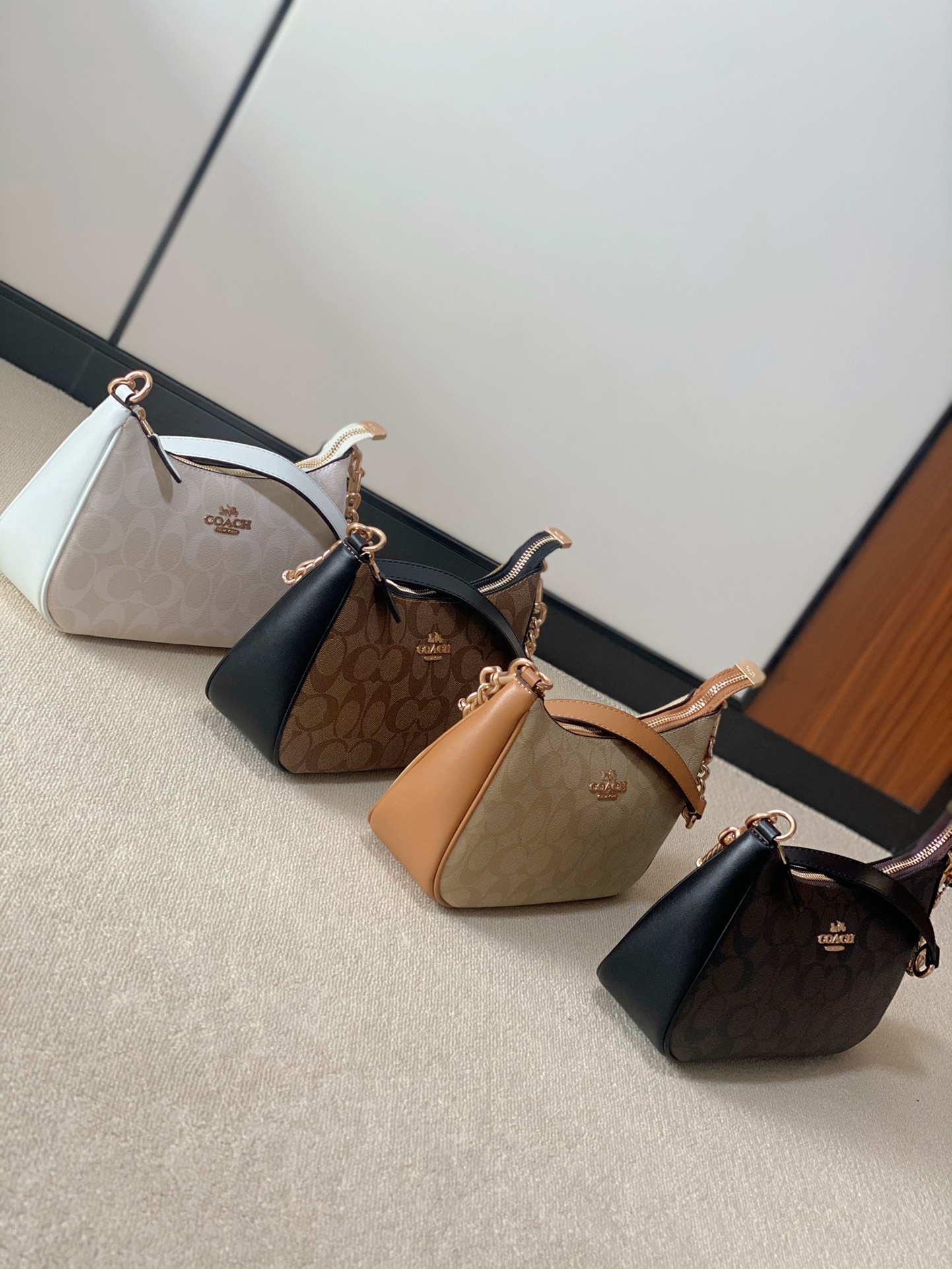 COACH Teri Shoulder Bag - Comprehensive 4