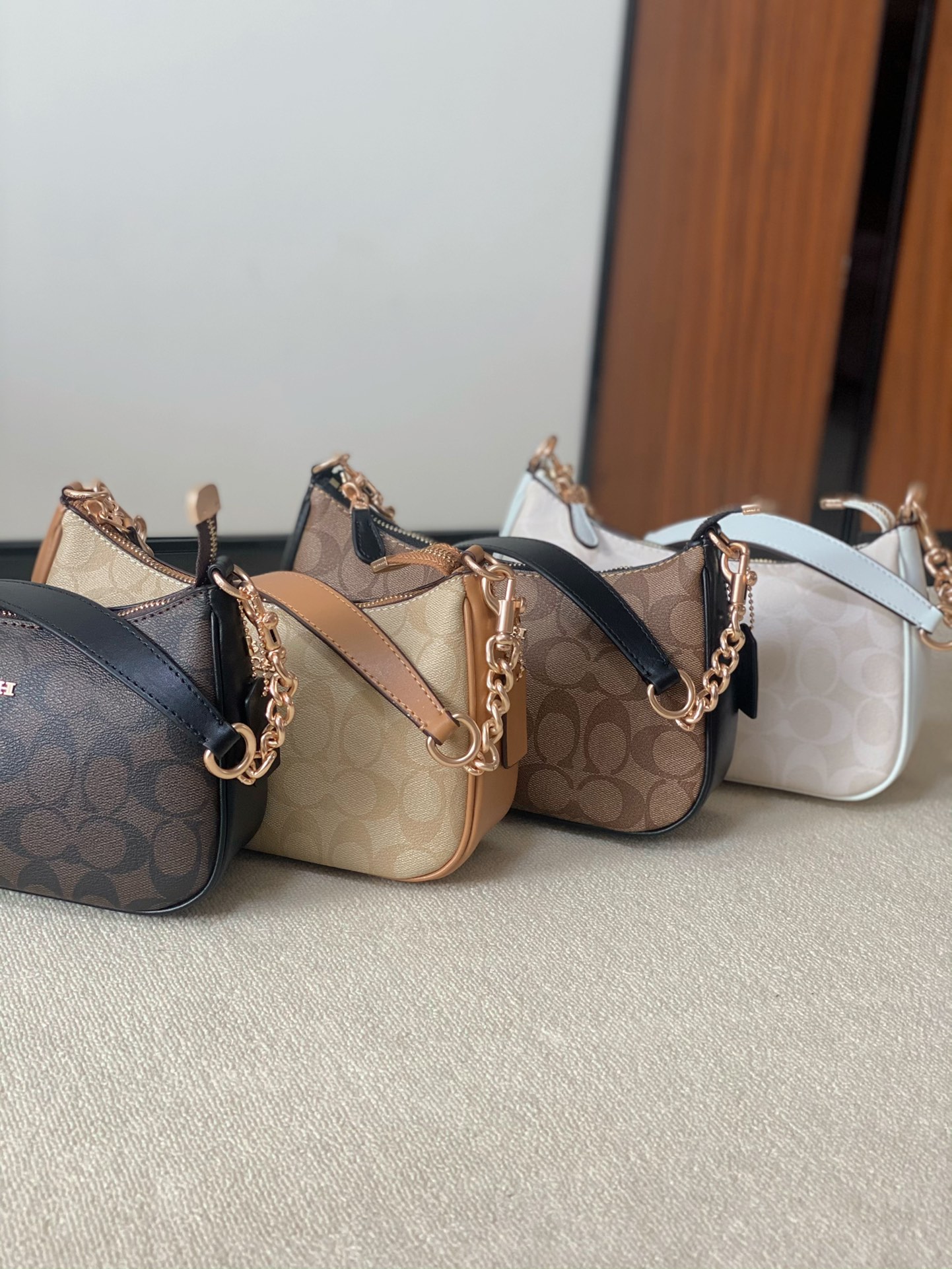 COACH Teri Shoulder Bag - Comprehensive 2