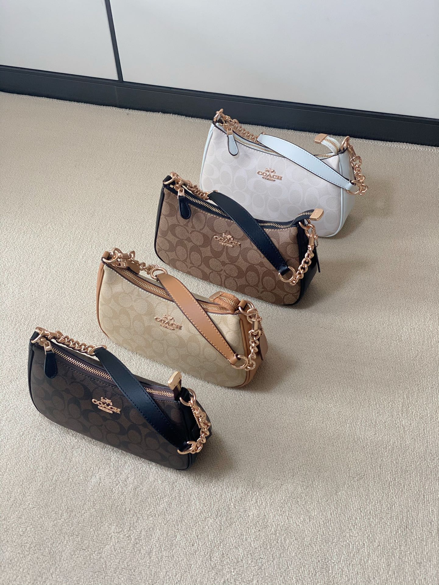 COACH Teri Shoulder Bag - Comprehensive 3