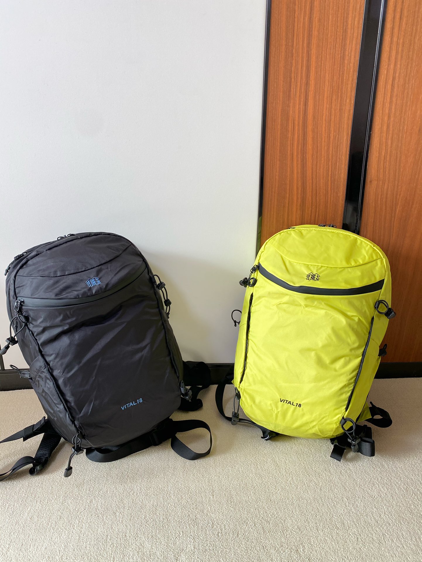KOLON SPORT VITAL 18L Outdoor Backpack - Comprehensive 3