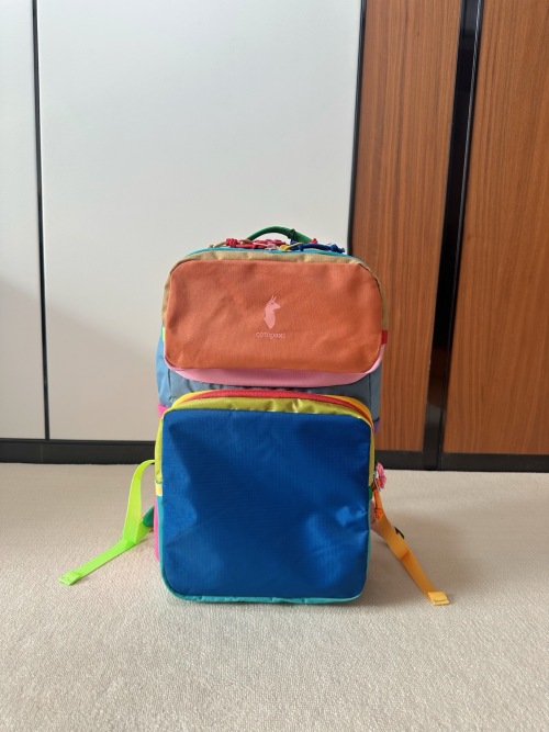 Dopamine Colorblock Backpack: Unique Retro Style for Travel, Gym & Cycling