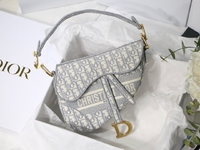Fake Designer
 Dior Saddle Bags Grey Embroidery Oblique
