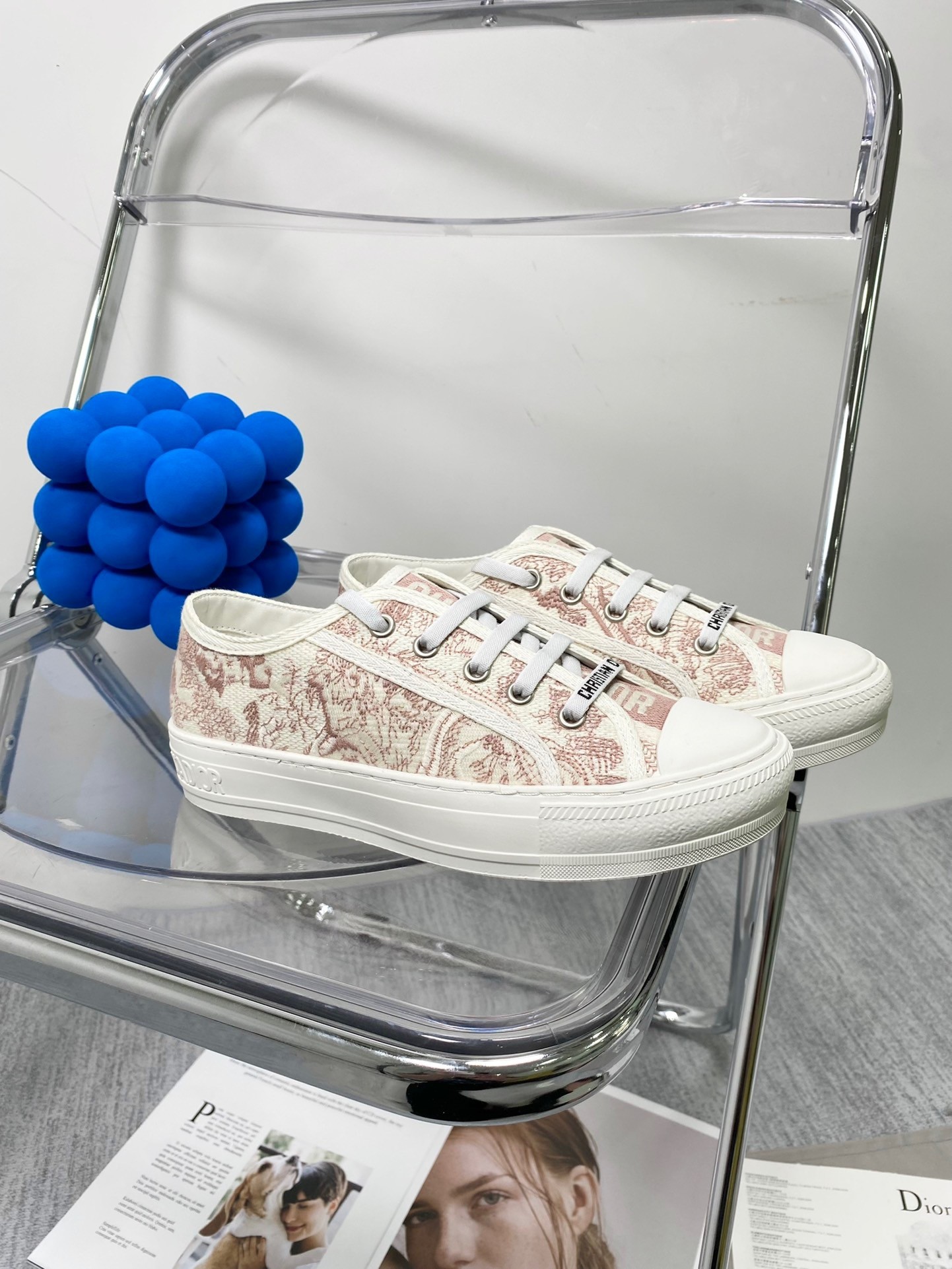 Dior Skateboard Shoes Sneakers Canvas Shoes Embroidery Canvas Casual