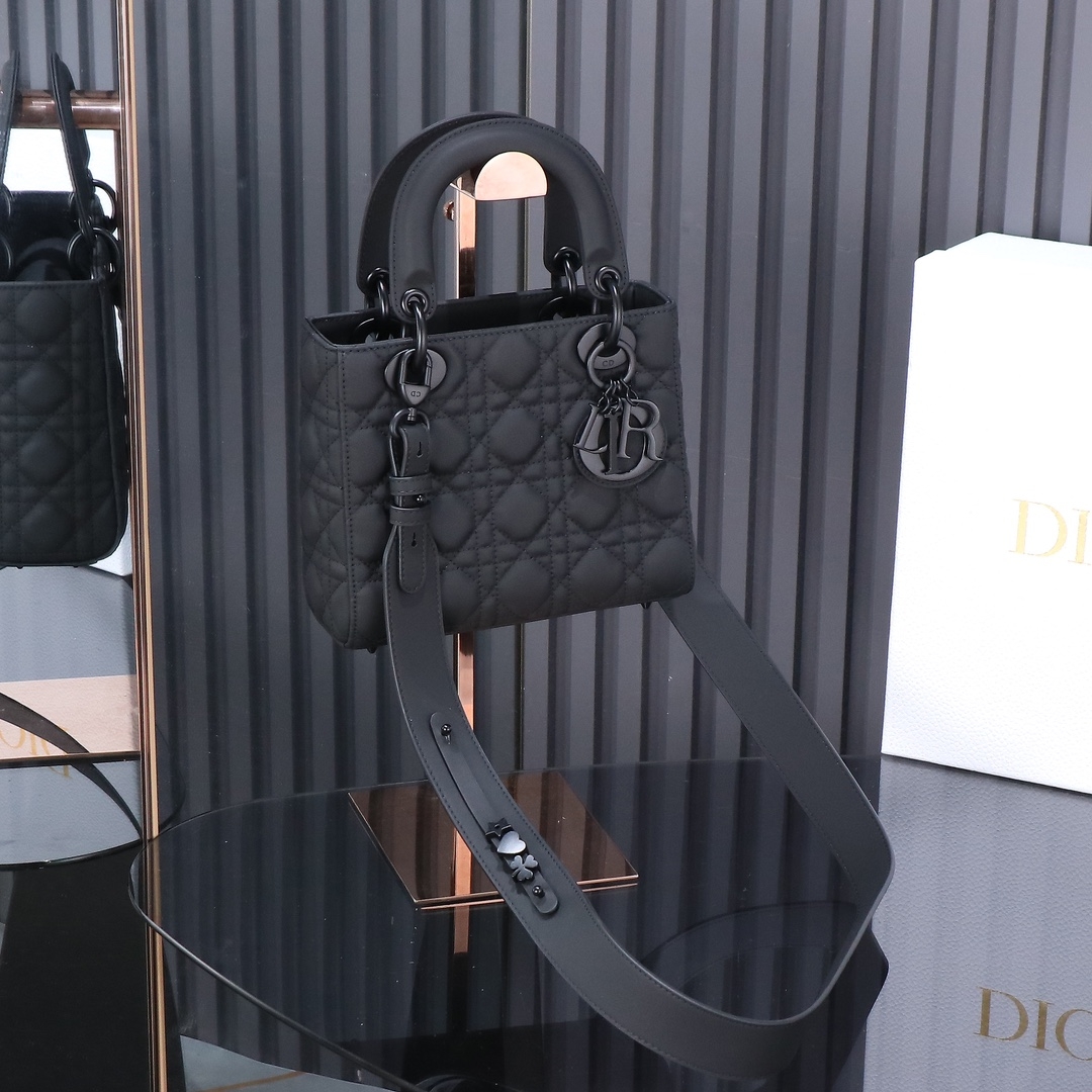 Dior Lady Handbags Crossbody & Shoulder Bags Black Embroidery Frosted Chains