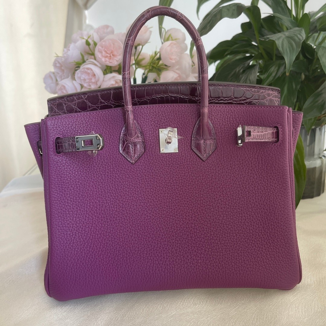 Hermes Birkin Bags Handbags Anemone Purple Platinum Silver Hardware