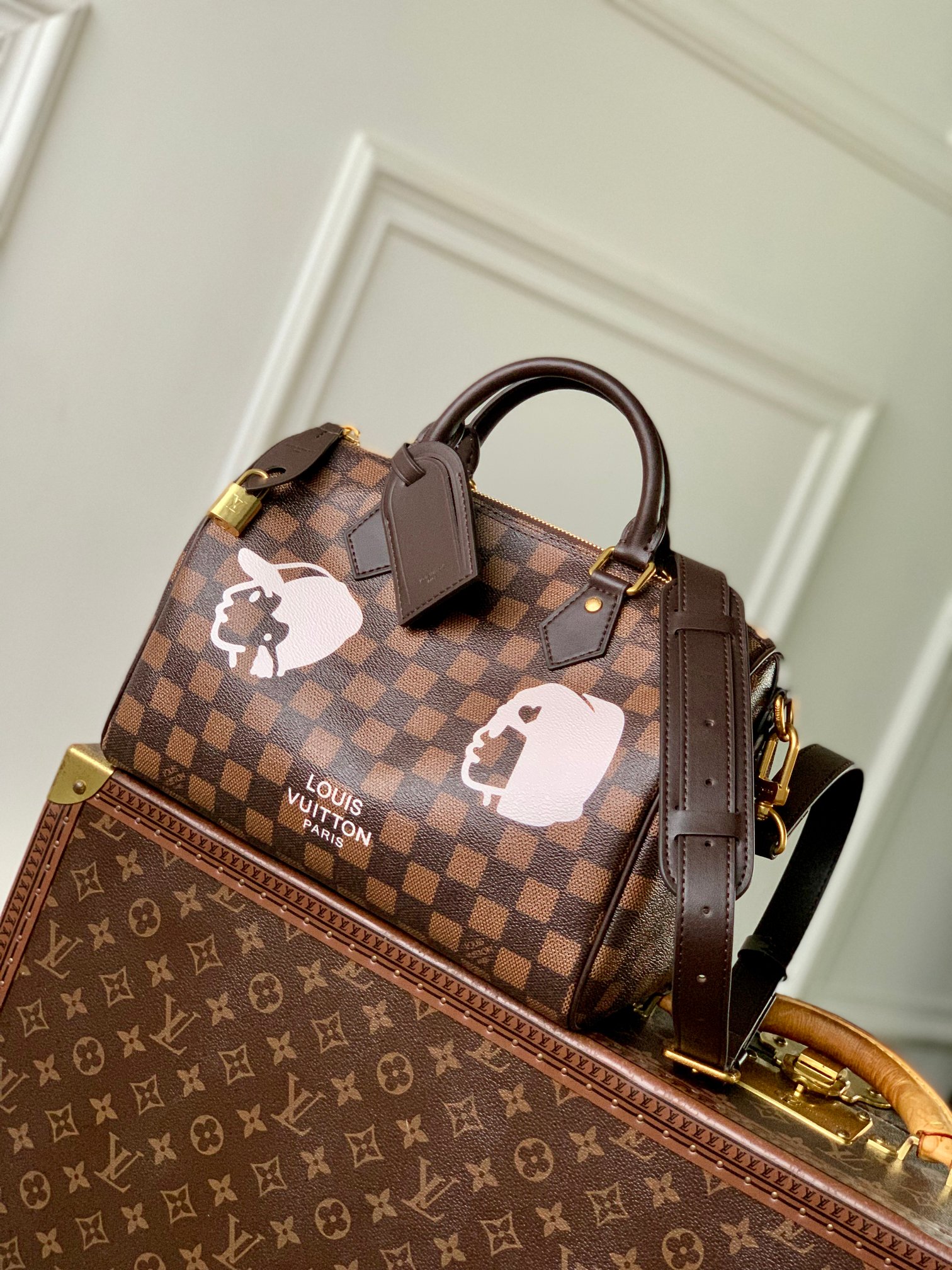 Louis Vuitton Speedy 25 Bandoulière Damier Ebene Canvas Satchel