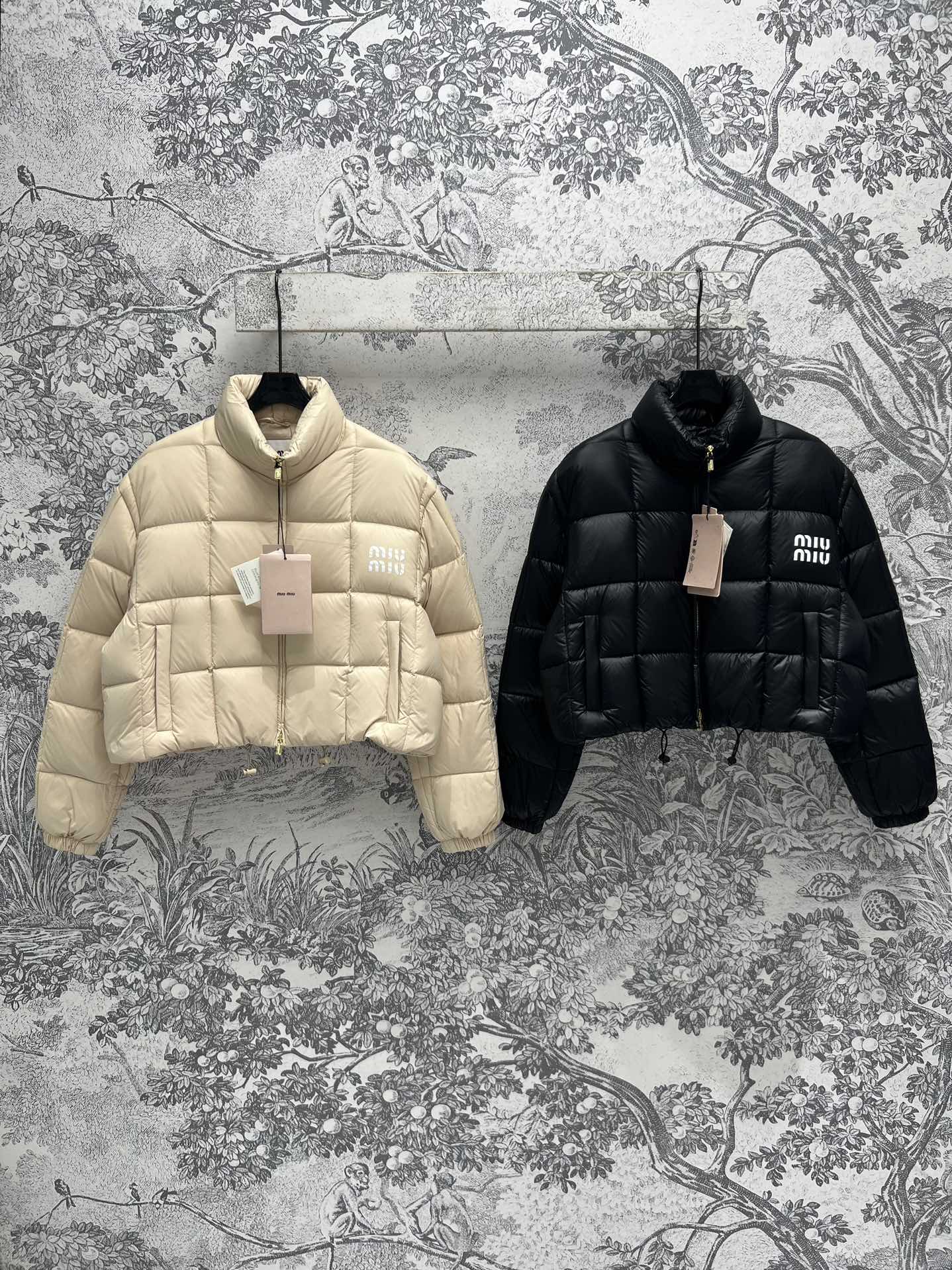 MiuMiu Clothing Down Jacket Fall/Winter Collection