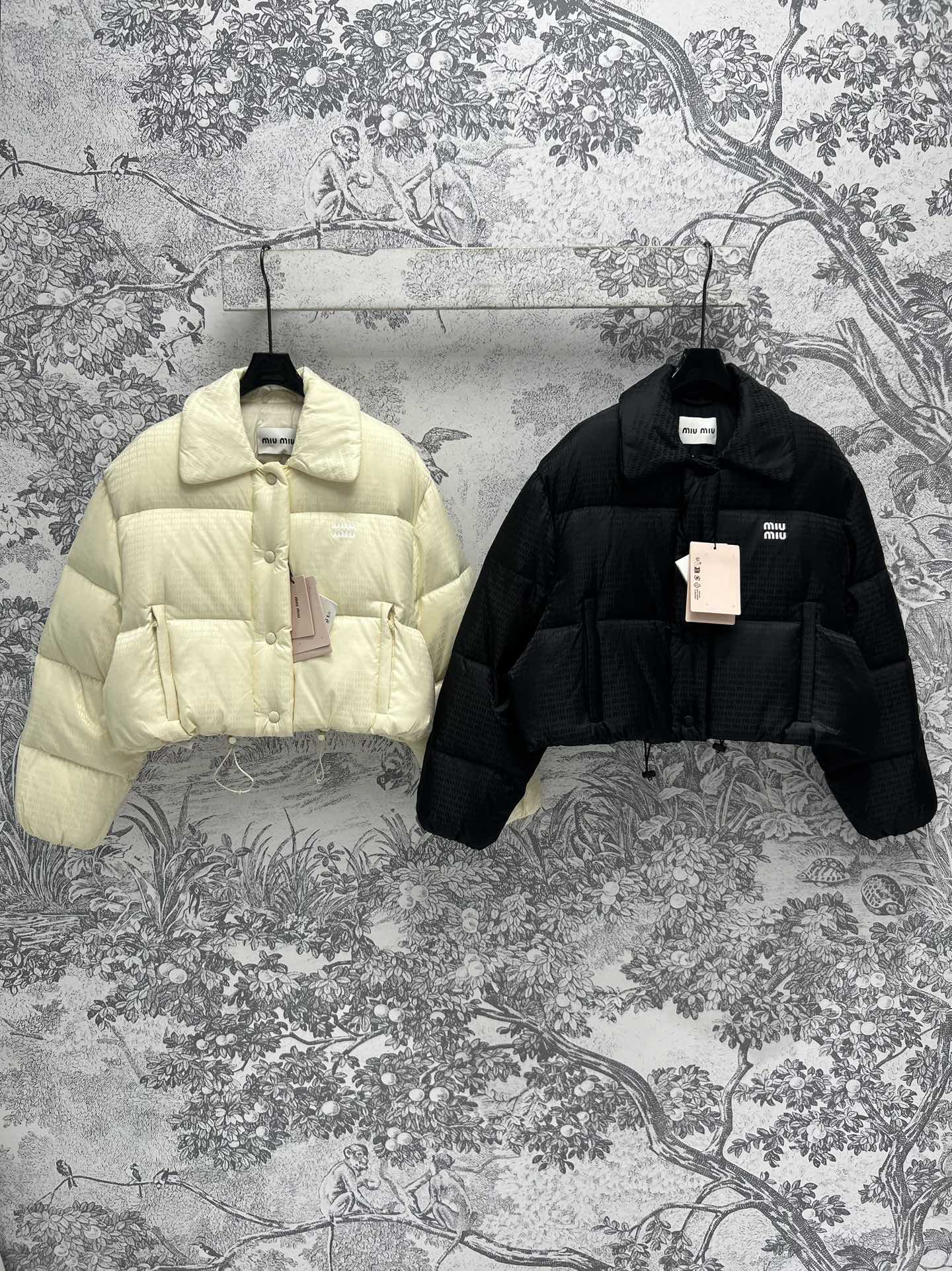 MiuMiu Clothing Down Jacket Fall/Winter Collection