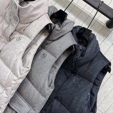 LP家 26秋冬新款 立领羽绒马甲外套 厚实立领可以护住脖颈抵御寒风 衣身带有精致logo徽章刺绣大尺寸工装口袋实用又富 LP家 26秋冬新款 立领羽绒马甲外套 厚实立领可以护住脖颈抵御寒风 衣身带有精致logo徽章刺绣大尺寸工装口袋实用又富