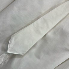 BC家 26早秋新款 领带长袖衬衫 面料挺括不易皱 经典翻领版型 自带同色系可拆卸领带 自带利落学院氛围感 圆弧下摆剪裁 BC家 26早秋新款 领带长袖衬衫 面料挺括不易皱 经典翻领版型 自带同色系可拆卸领带 自带利落学院氛围感 圆弧下摆剪裁