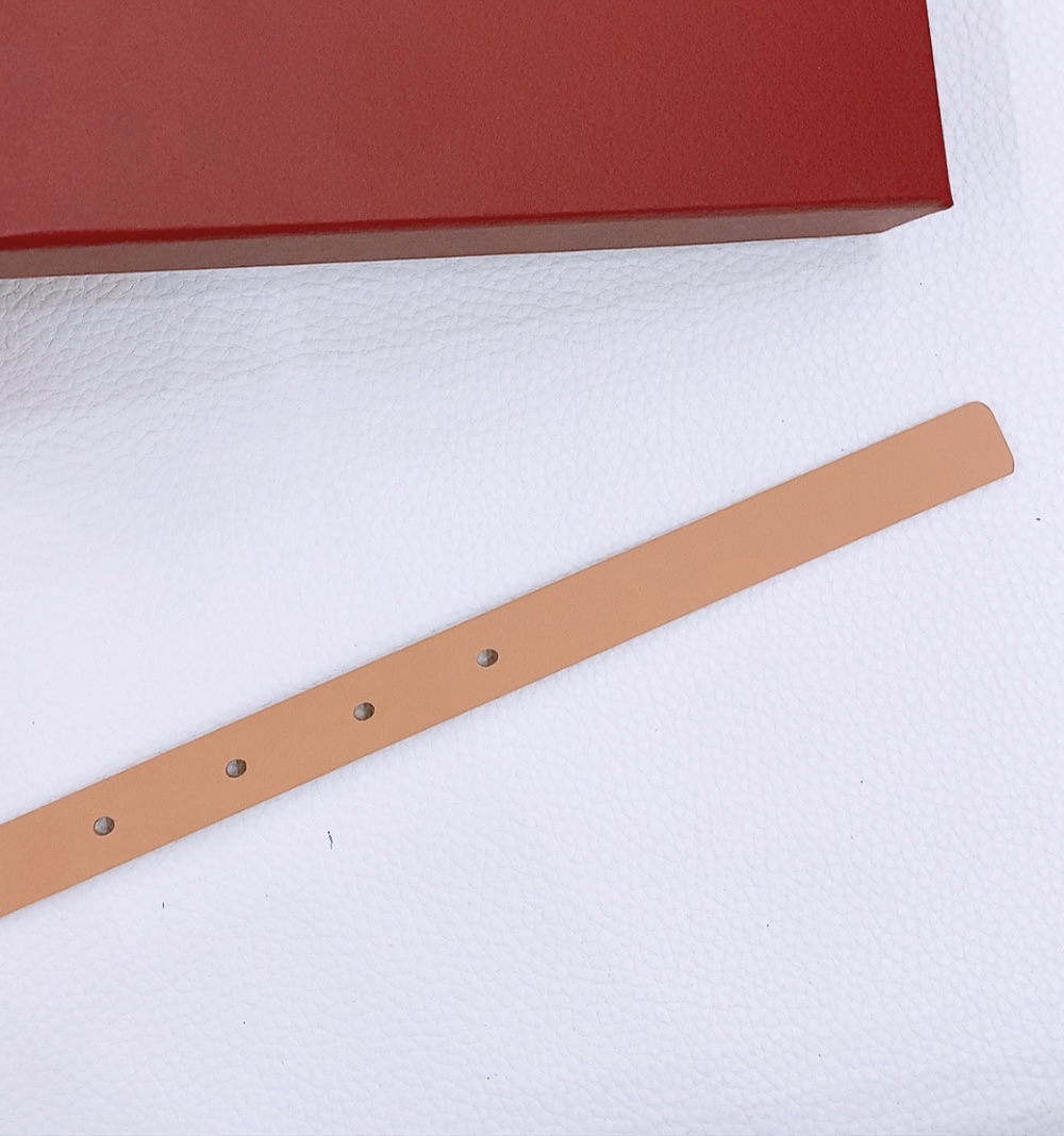 Stylish Retro Gold Gancio Belt for Ms. Filagemu: Quality Little Bullskin Plains. - 图片 6