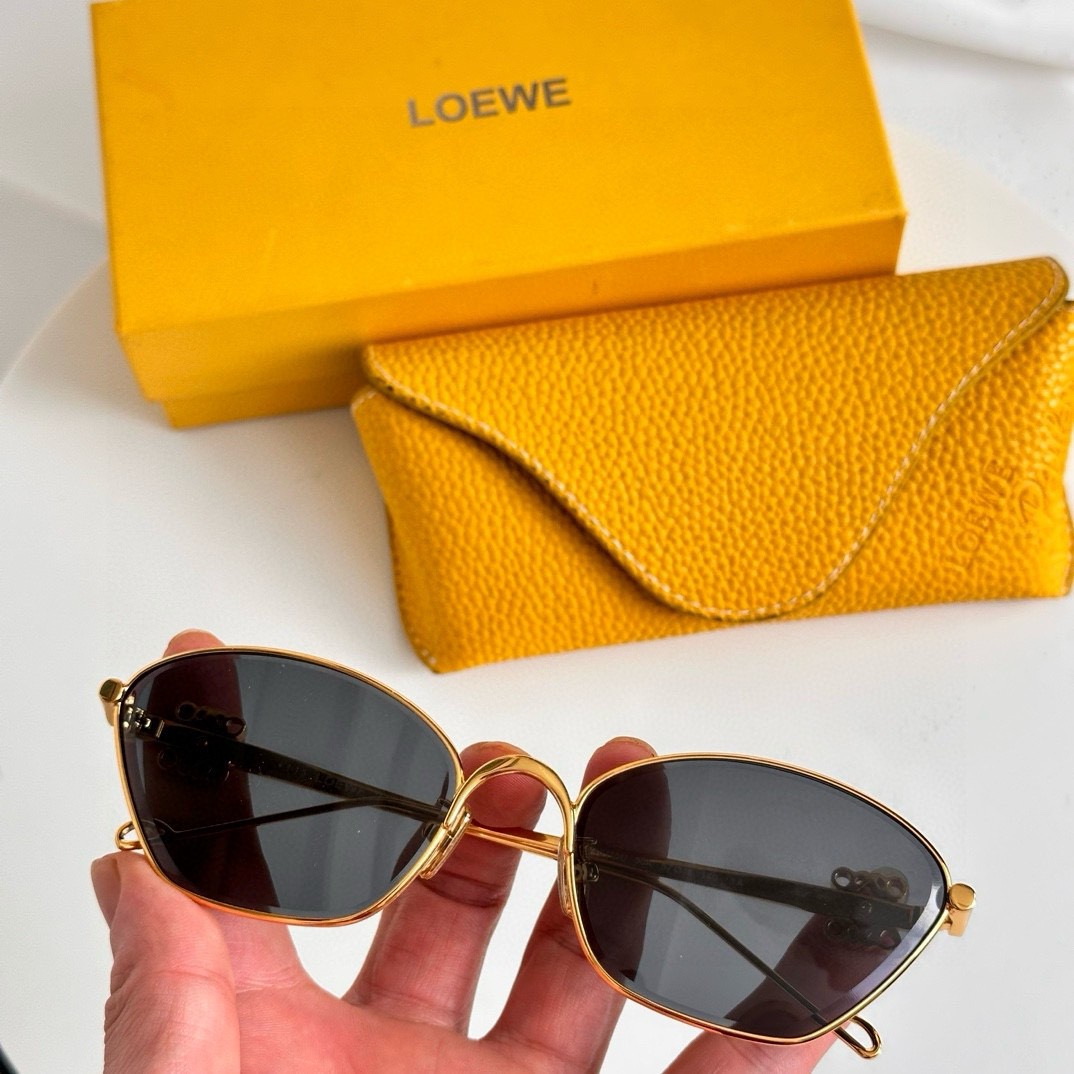齐色 ‼️ 官网图 LOEWE🌟🌟🌟MODEL：LW40115U🌟