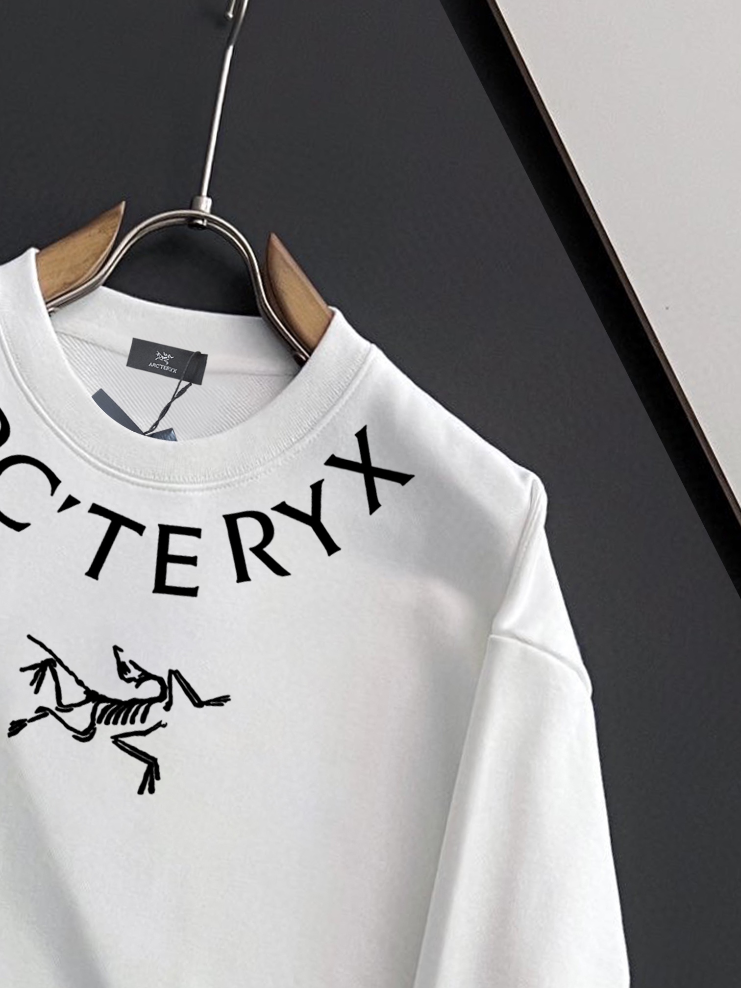 ￼ ￼ 始祖鸟 官网 新款字母印花双层重工字母图案不管是T桖还是卫衣都是每年的爆款单品 前幅大面积印花采