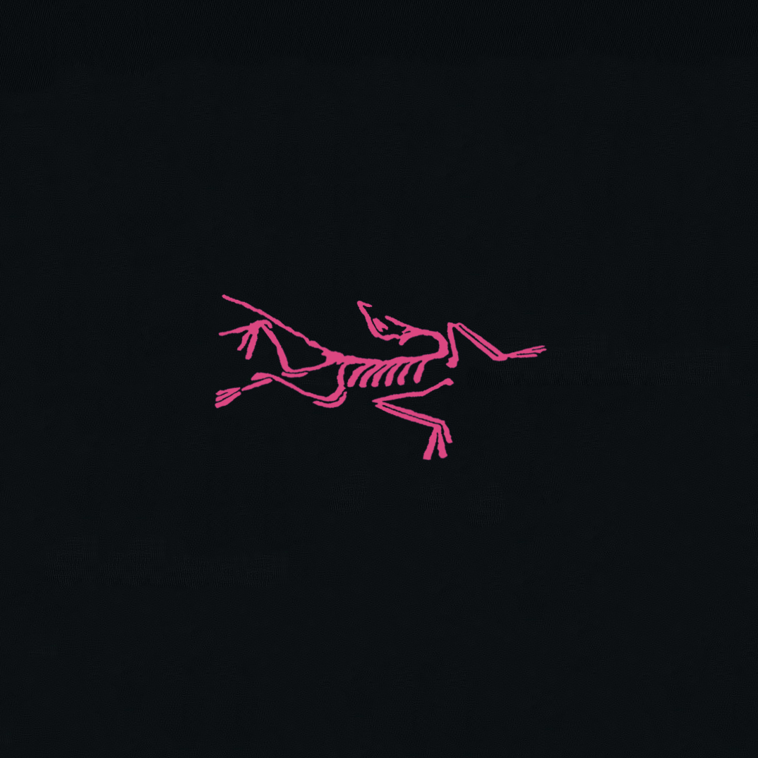 ￼ ￼ ￼ ￼ ￼ 始祖鸟 新款字母印花双层重工短袖T桖 字母图案不管是T桖还是卫衣都是每年的爆款单品 