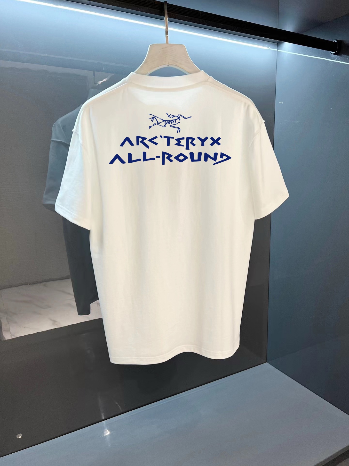 ￼ ￼ ￼ ￼ ￼ 始祖鸟 新款字母印花双层重工短袖T桖 字母图案不管是T桖还是卫衣都是每年的爆款单品 