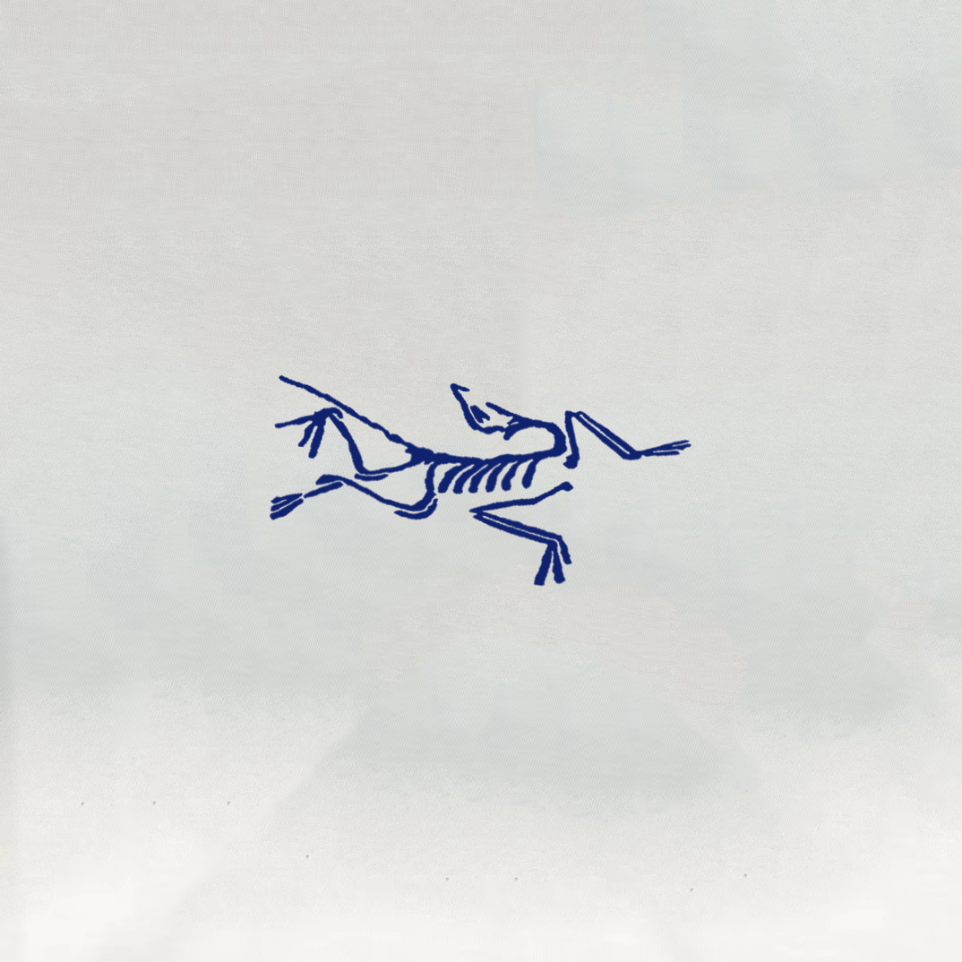 ￼ ￼ ￼ ￼ ￼ 始祖鸟 新款字母印花双层重工短袖T桖 字母图案不管是T桖还是卫衣都是每年的爆款单品 