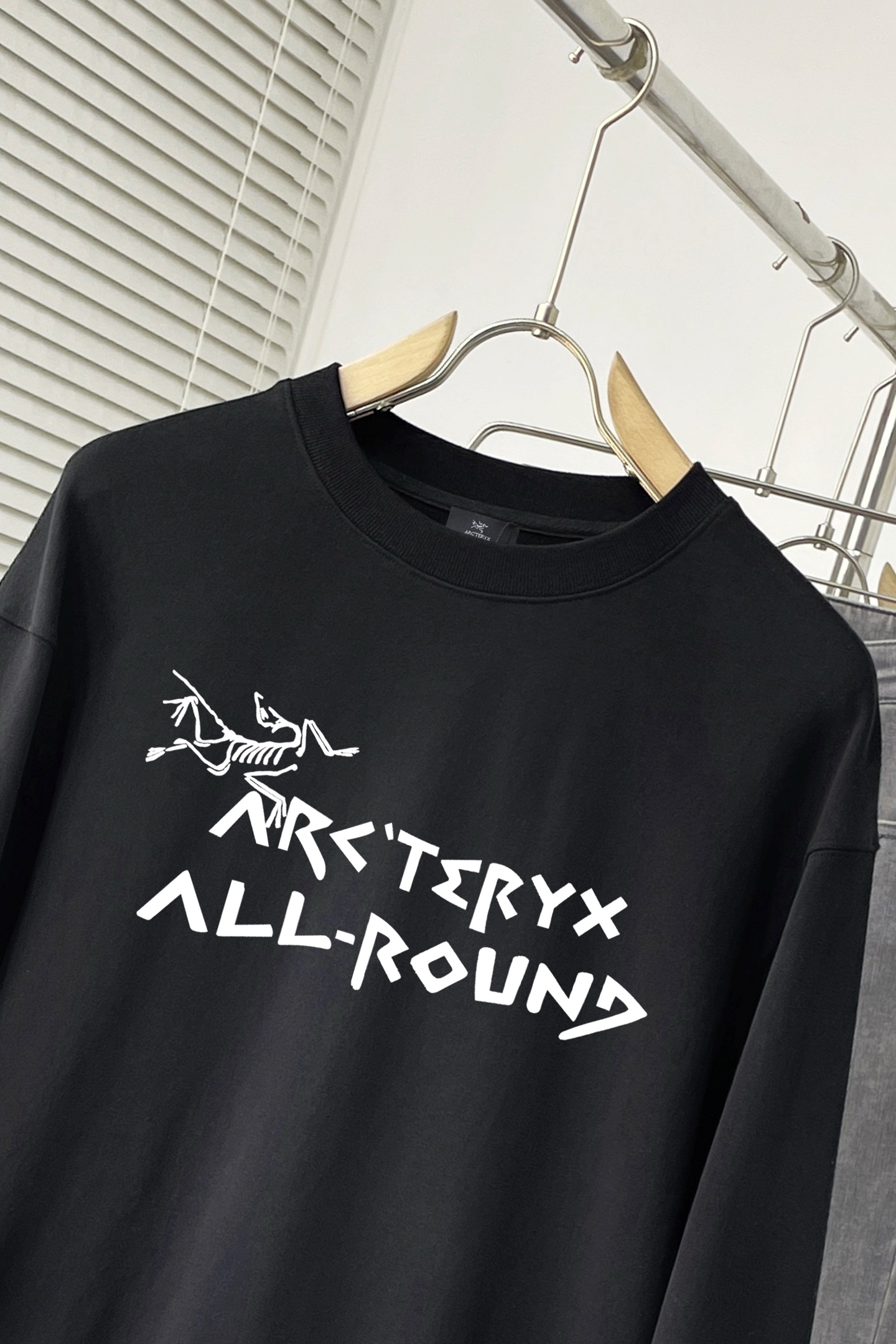 ￼ ￼ ￼ ￼ 始祖鸟 官网 新款字母印花双层重工字母图案不管是T桖还是卫衣都是每年的爆款单品 前幅大面