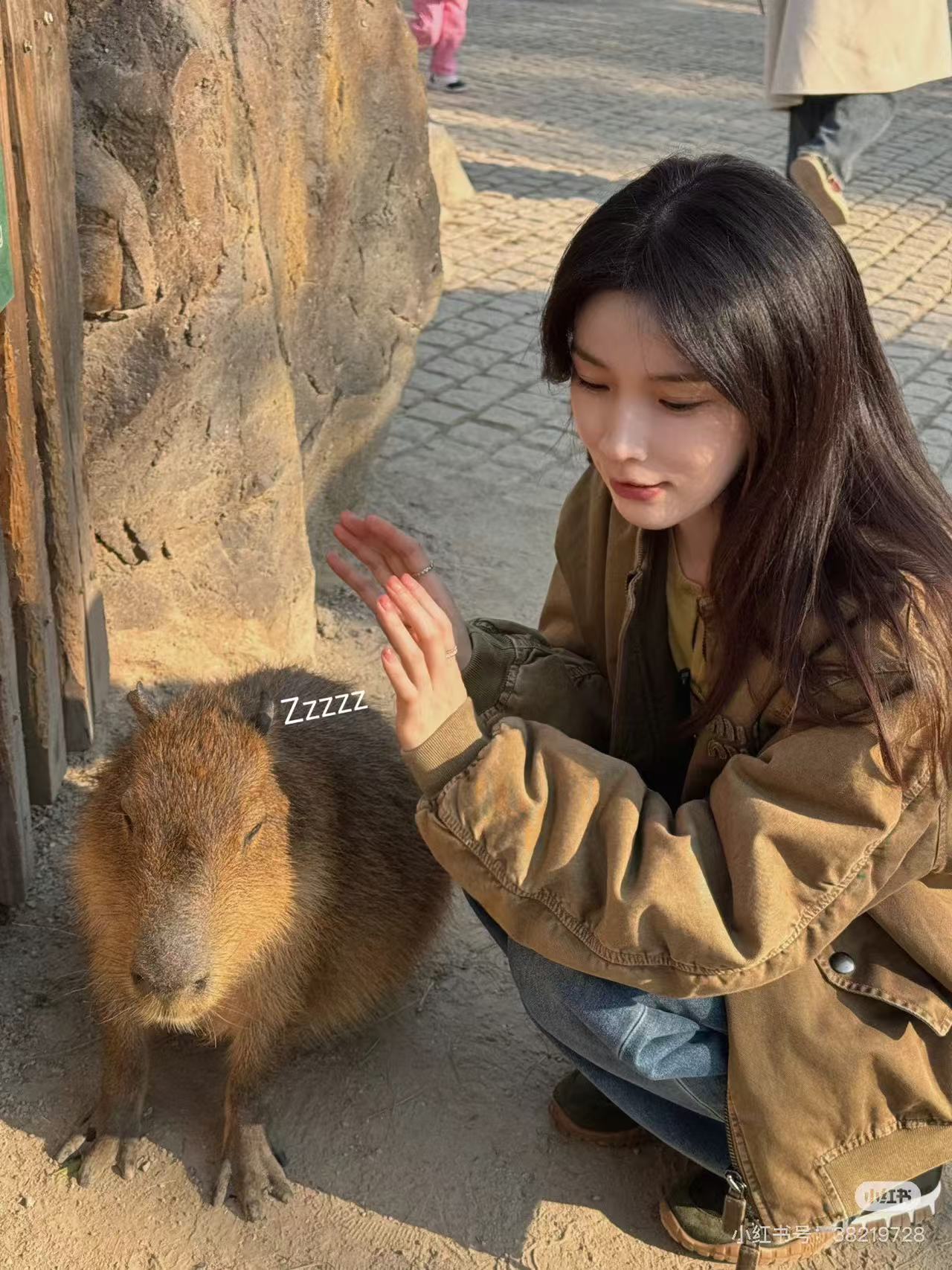 NO:228304,, casual shoes/sports shoes, sneakers19860909,休闲鞋/运动鞋,sneakers,Women's Shoes