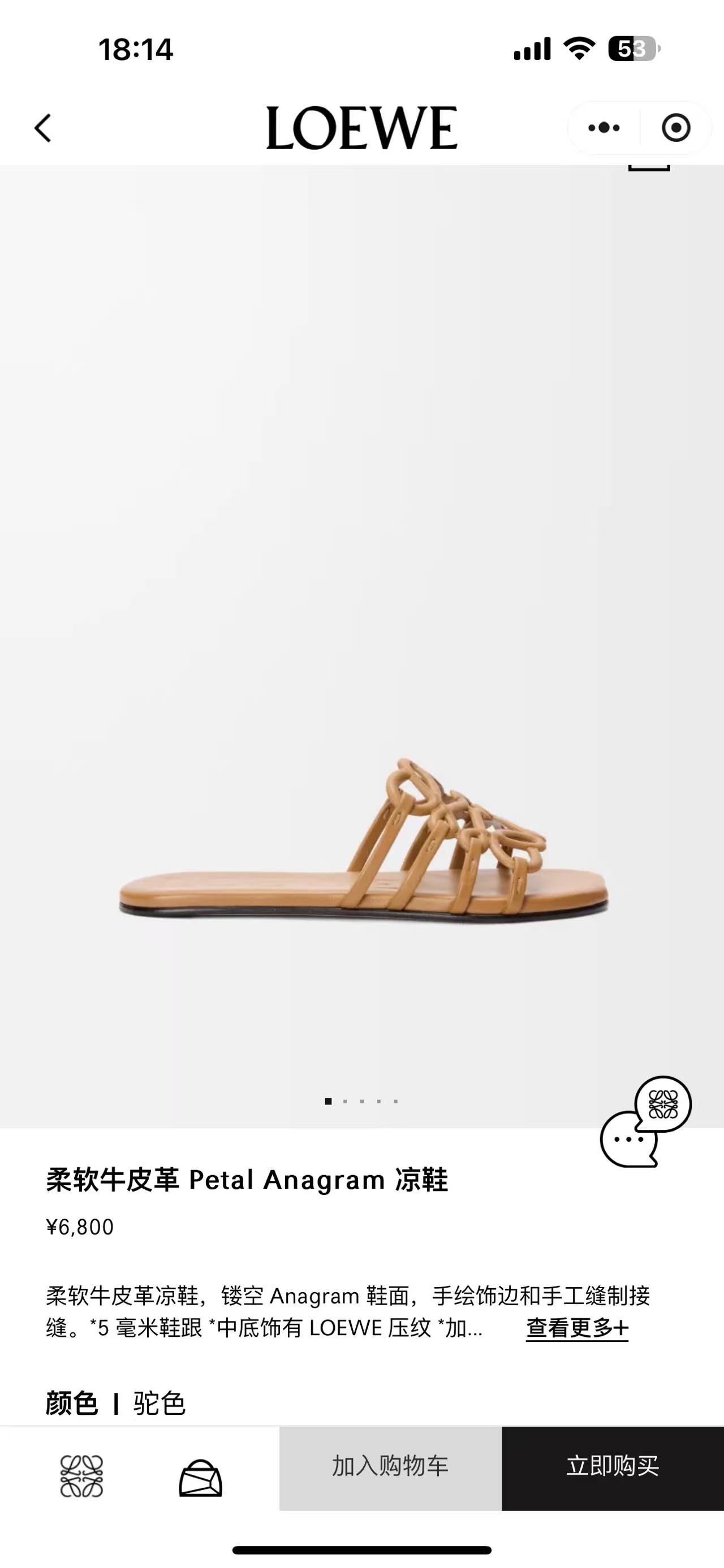 NO:241302,Official website - Camel, Slippers, Slippers19860909官网-驼色,拖鞋,slippers,Women's Shoes