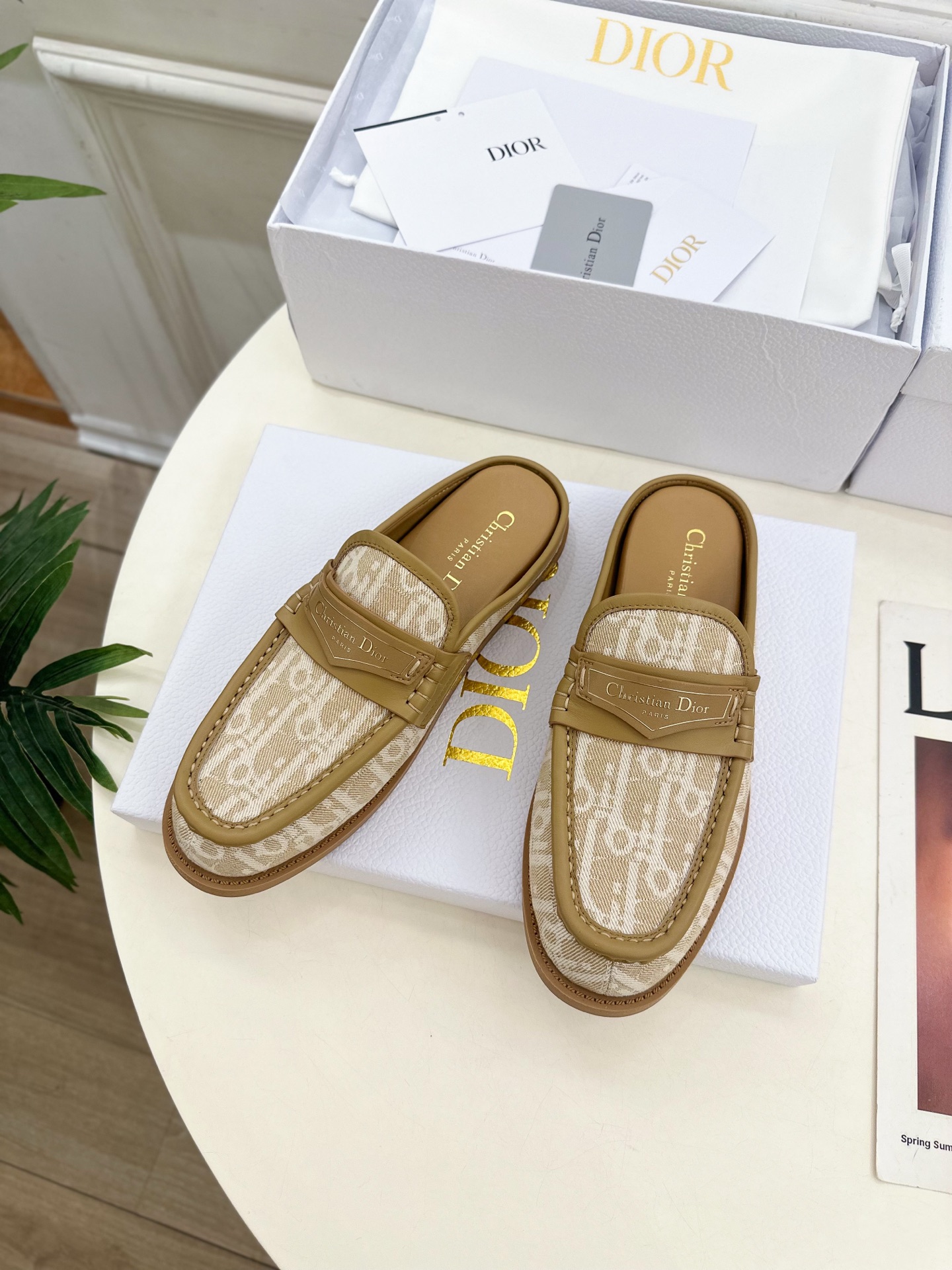 Dior |  迪奥  25𝐬𝐬 

🧡💚2025早春新品 顶级版本⚠️
专柜主打新款Dior Boy穆