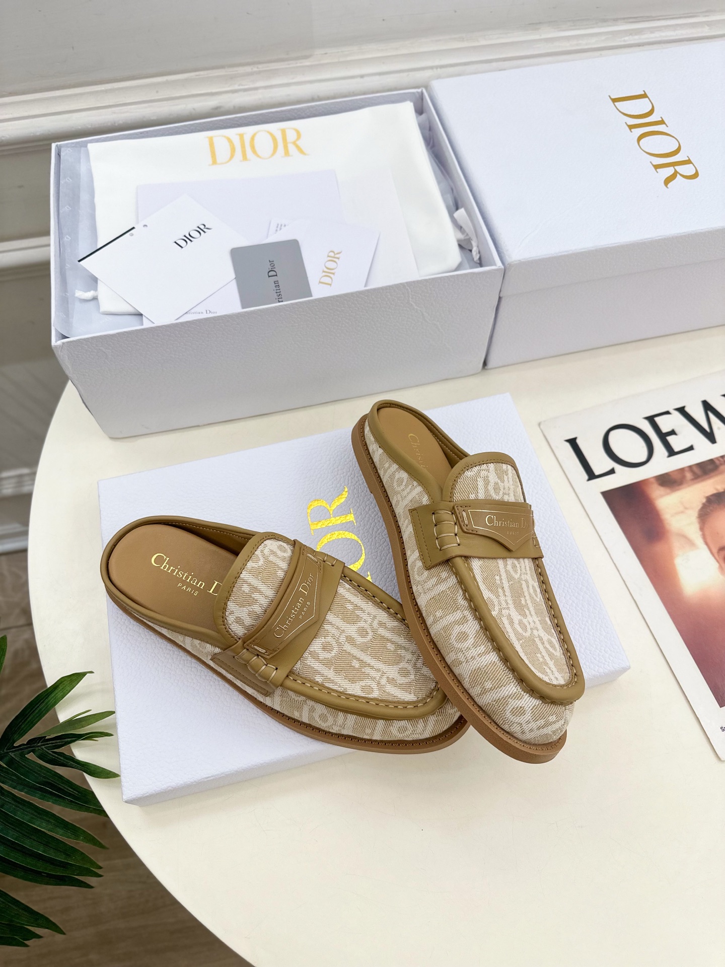Dior |  迪奥  25𝐬𝐬 

🧡💚2025早春新品 顶级版本⚠️
专柜主打新款Dior Boy穆