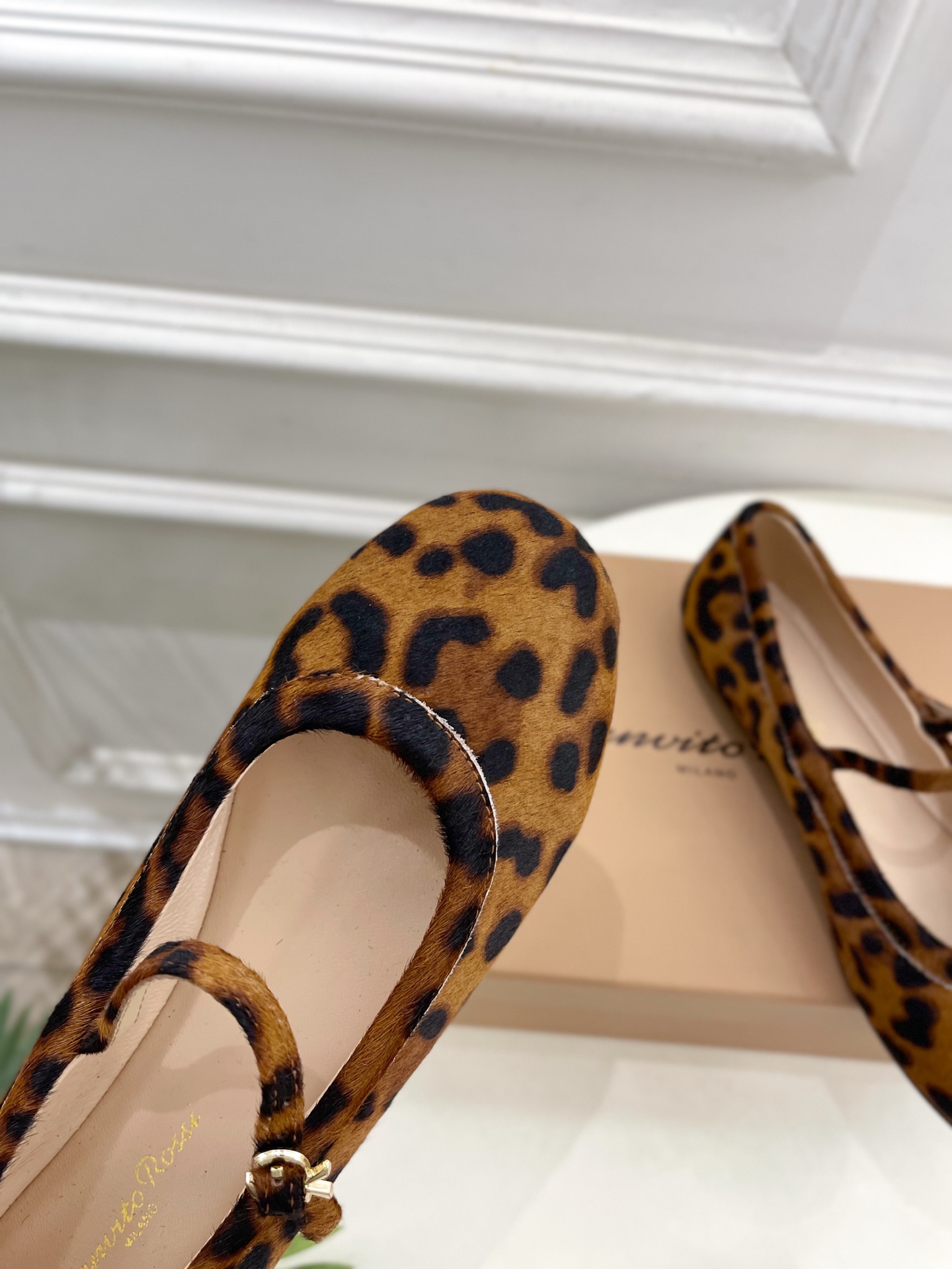 Gianvito Rossi｜吉安维托·罗西  25𝐬𝐬

2025春夏新品 GR彩色宝石玛丽珍芭蕾舞鞋