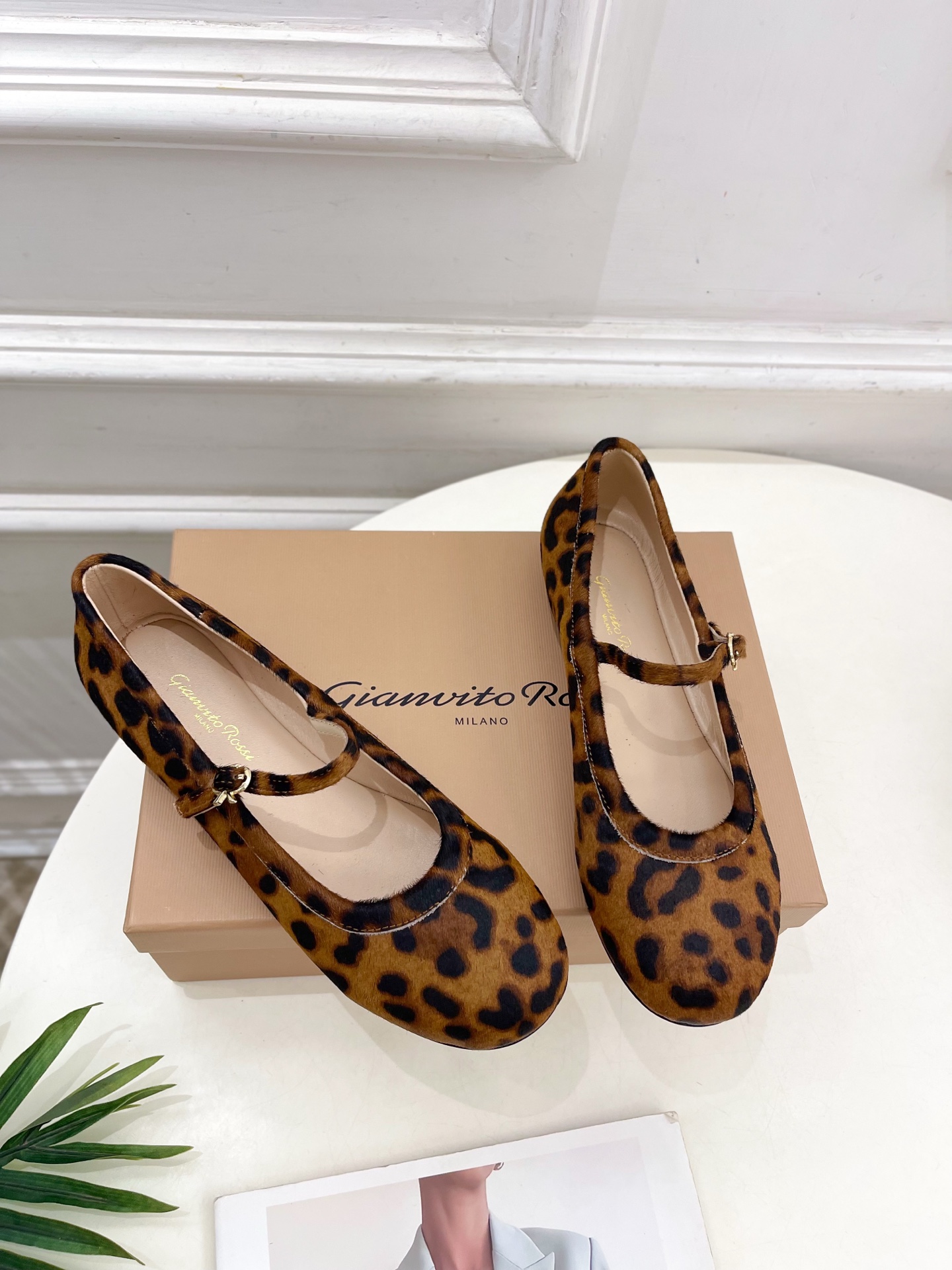 Gianvito Rossi｜吉安维托·罗西  25𝐬𝐬

2025春夏新品 GR彩色宝石玛丽珍芭蕾舞鞋