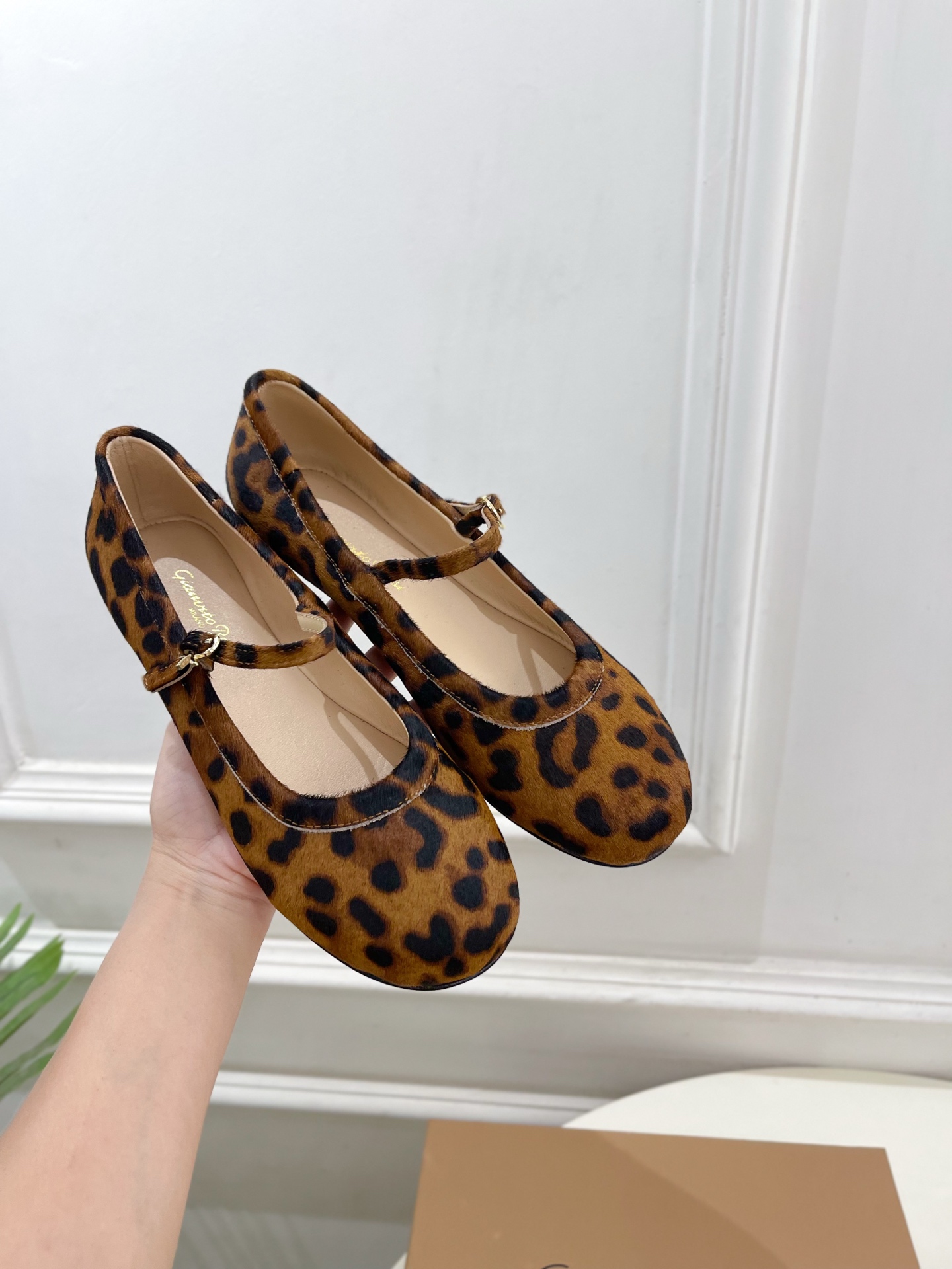 Gianvito Rossi｜吉安维托·罗西  25𝐬𝐬

2025春夏新品 GR彩色宝石玛丽珍芭蕾舞鞋