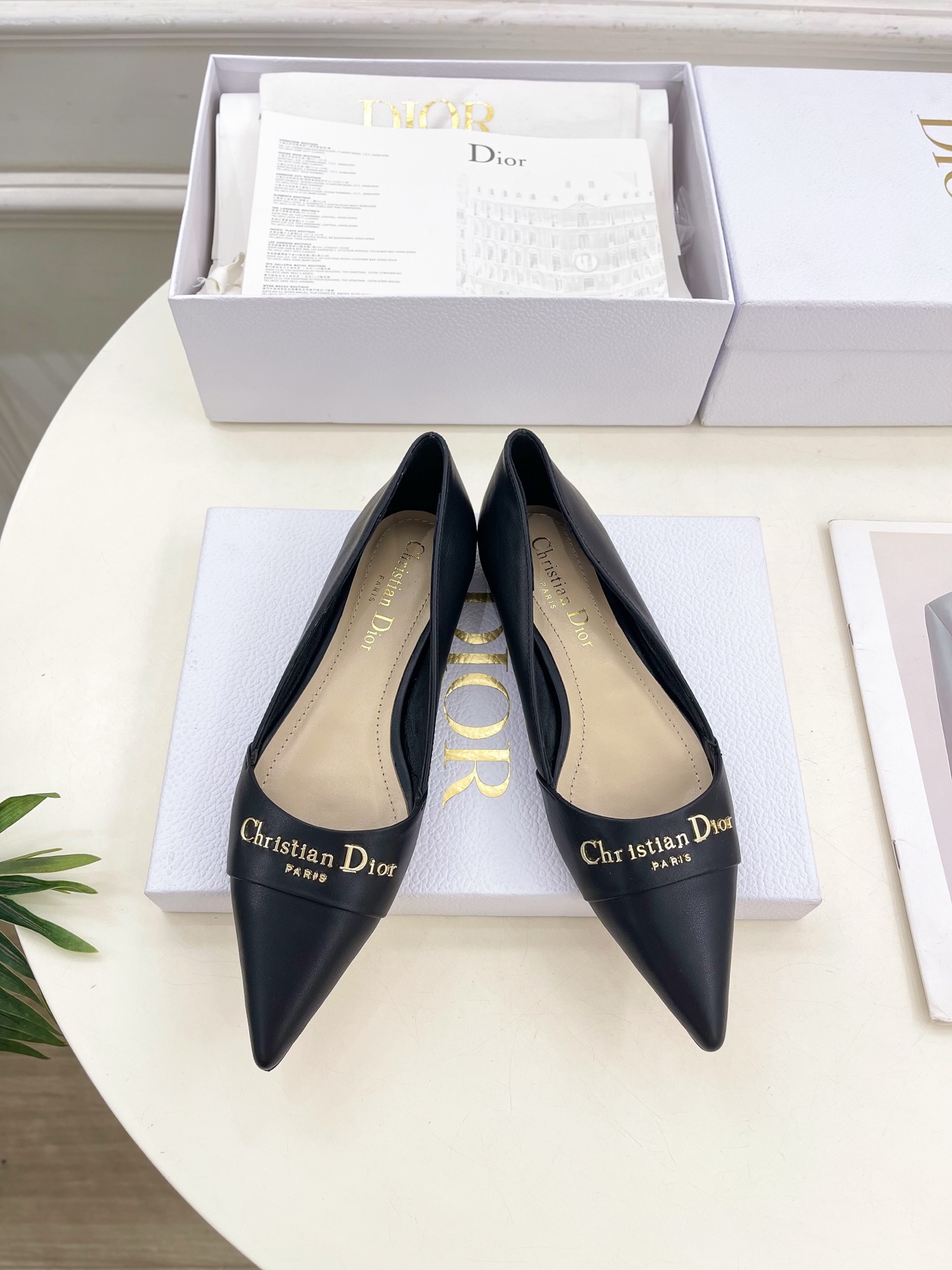 Dior |  迪奥  25𝐬𝐬 

🧡💚2025春夏新品 顶级版本⚠️
专柜主打新款My Dior 尖
