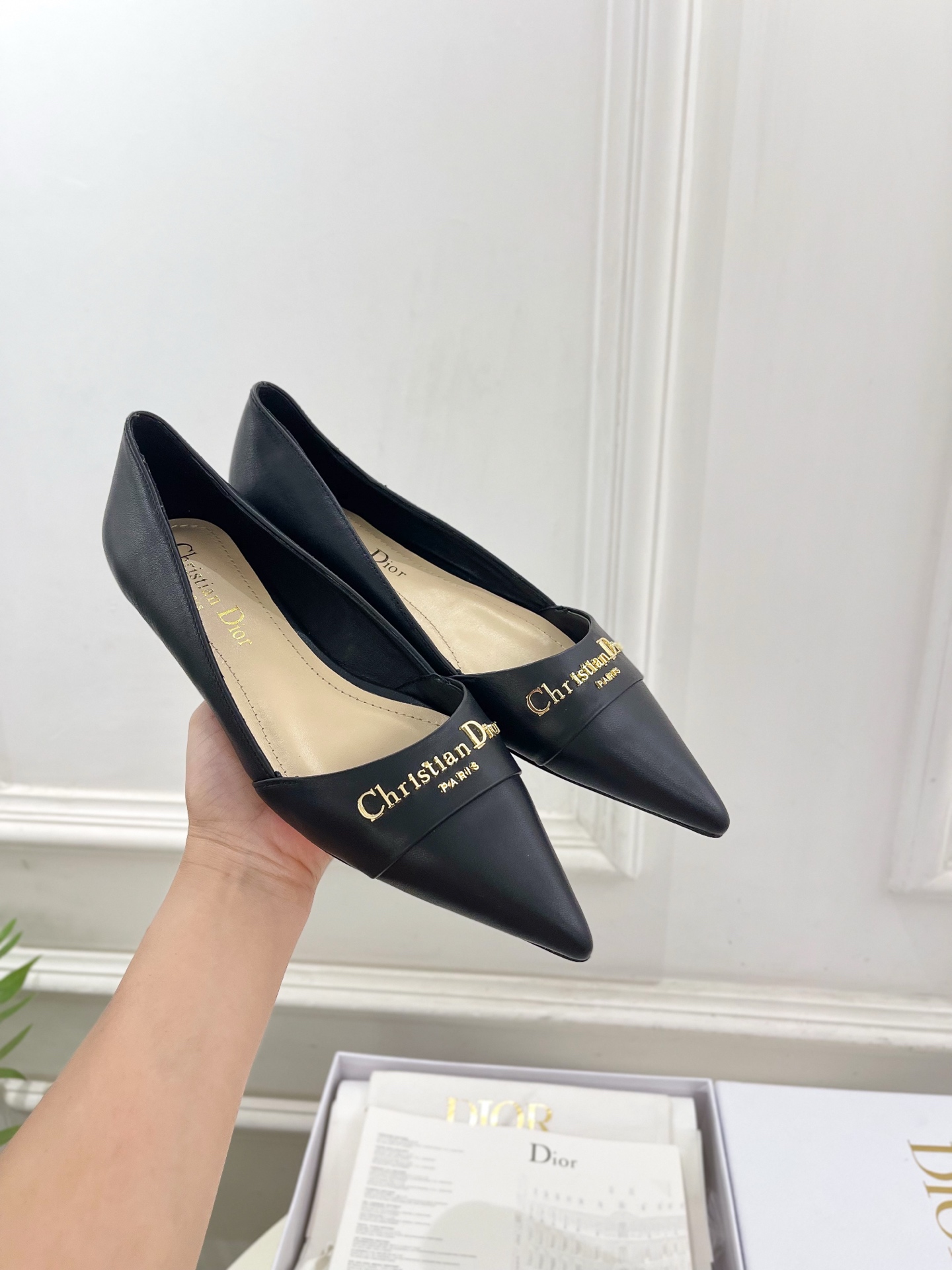 Dior |  迪奥  25𝐬𝐬 

🧡💚2025春夏新品 顶级版本⚠️
专柜主打新款My Dior 尖