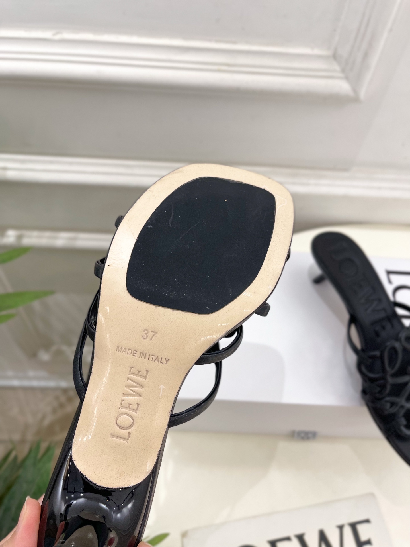 LOEWE 罗意威 2025春夏新品  Petal Anagram镂空小猫跟拖鞋
—————————
L