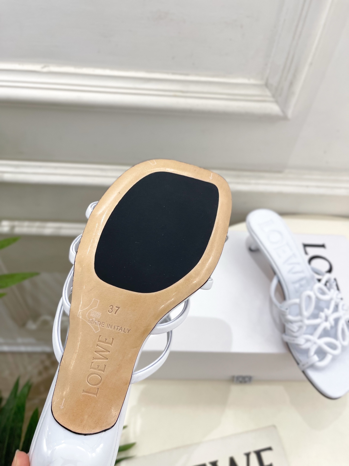 LOEWE 罗意威 2025春夏新品  Petal Anagram镂空小猫跟拖鞋
—————————
L