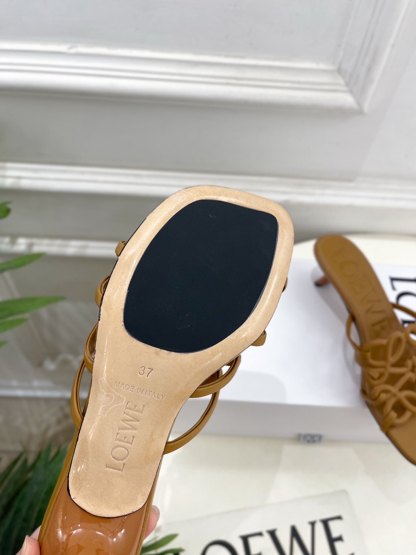 LOEWE 罗意威 2025春夏新品  Petal Anagram镂空小猫跟拖鞋
—————————
L
