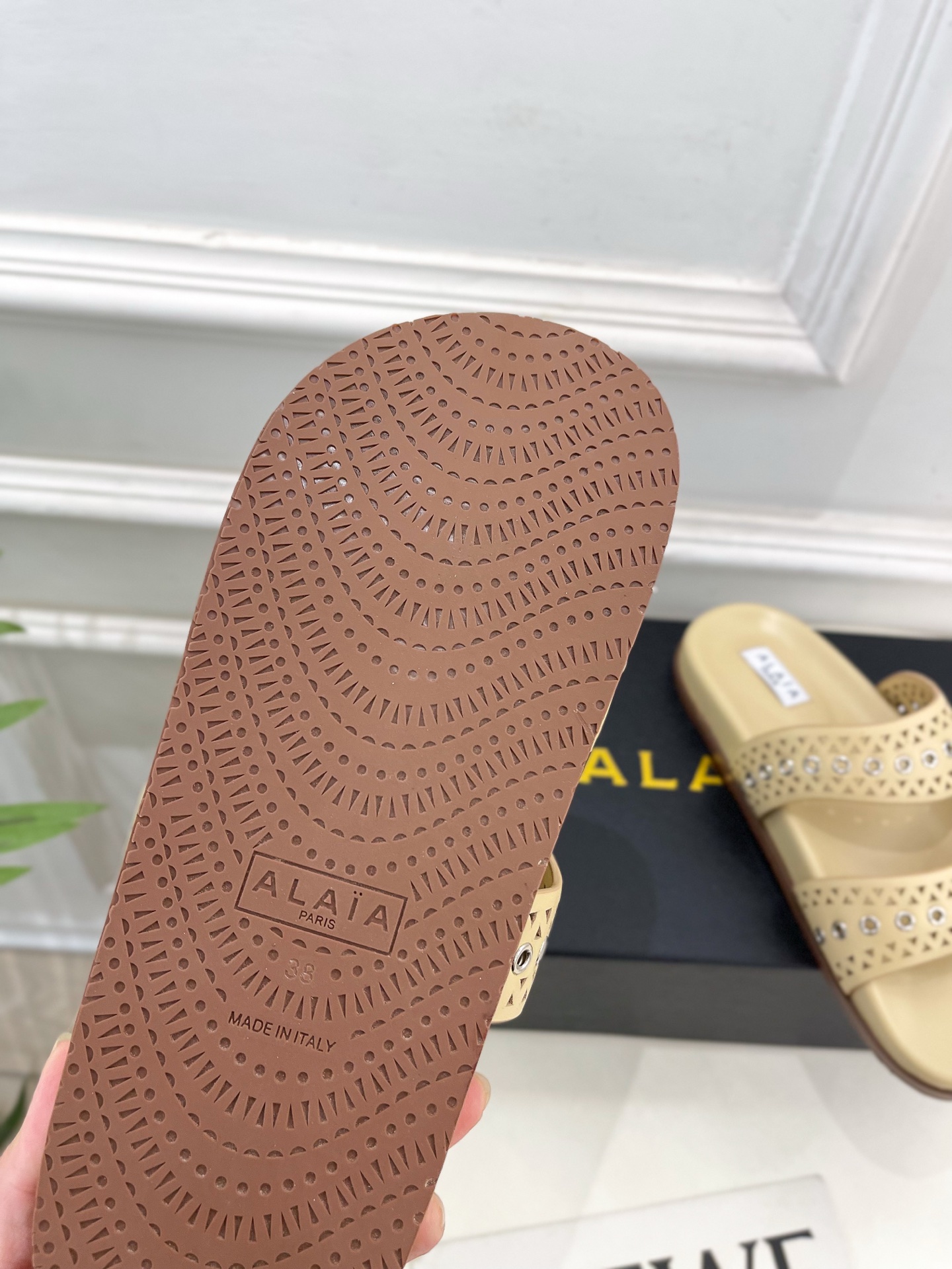 ALAÏA 阿莱亚25SS春夏新品 镂空鸡眼休闲平底鞋
—————————
Alaïa作为这两年最受欢迎