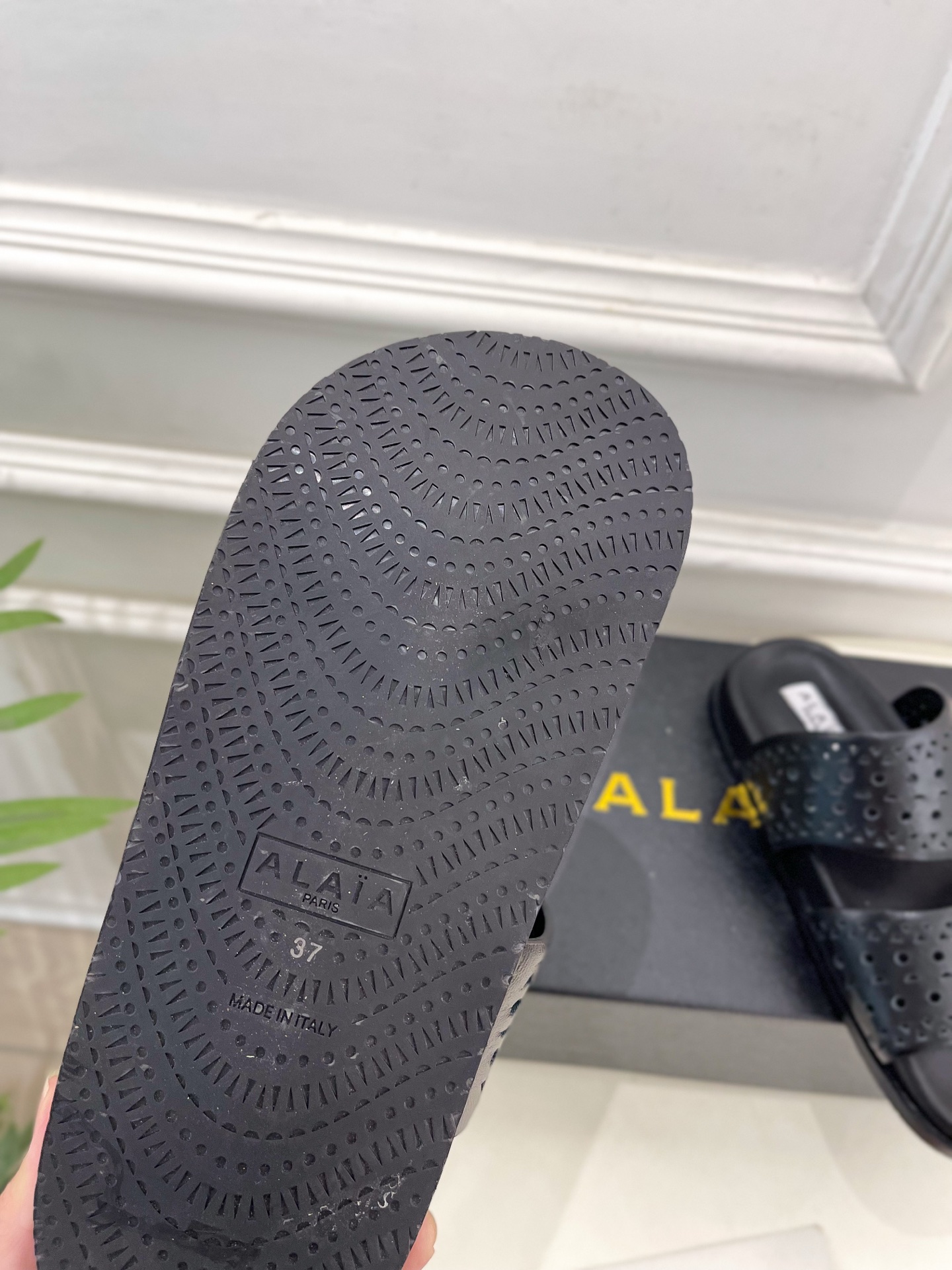 ALAÏA 阿莱亚25SS春夏新品 镂空休闲平底鞋
—————————
Alaïa作为这两年最受欢迎的鬼