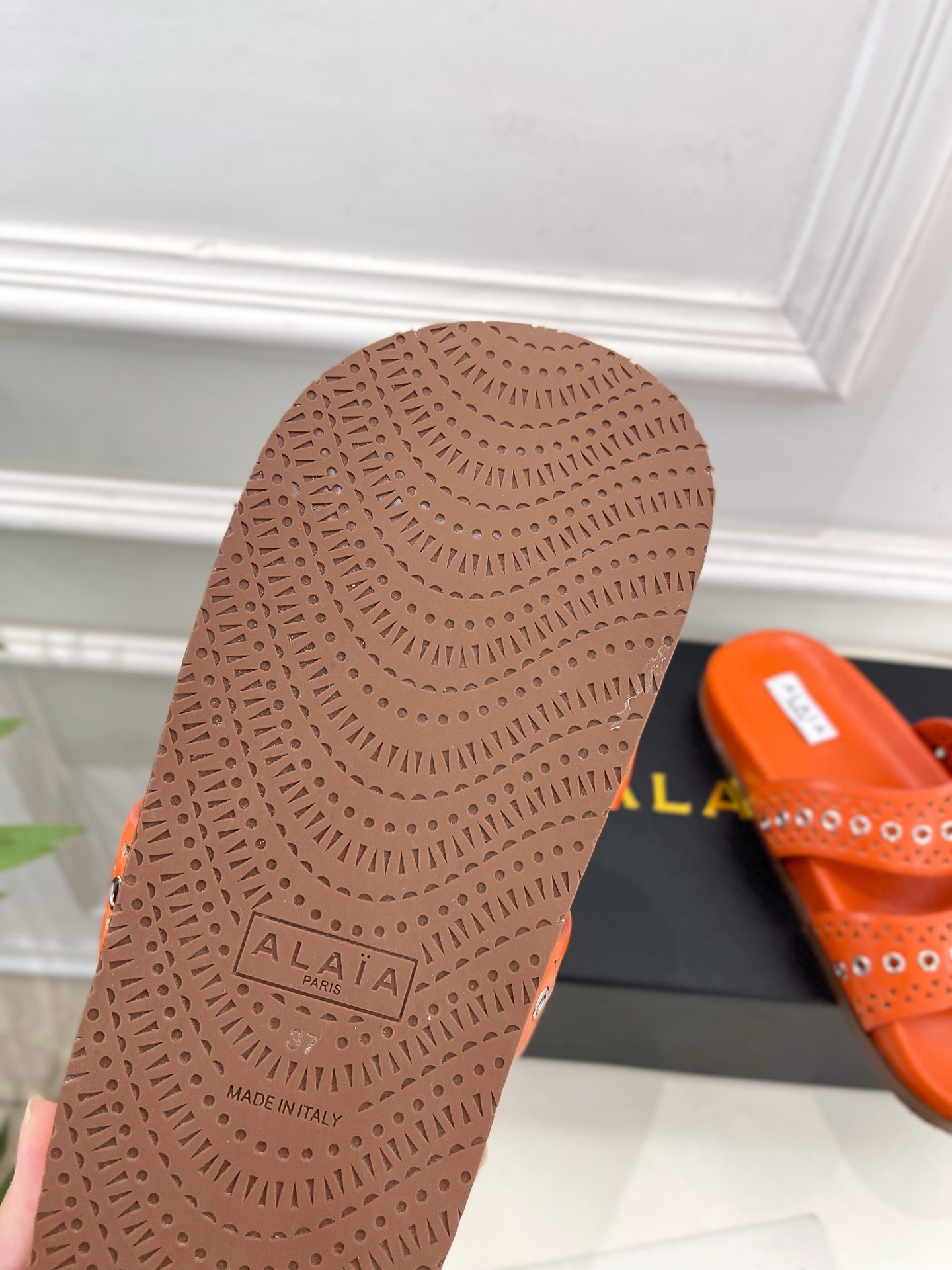 ALAÏA 阿莱亚25SS春夏新品 镂空鸡眼休闲平底鞋
—————————
Alaïa作为这两年最受欢迎