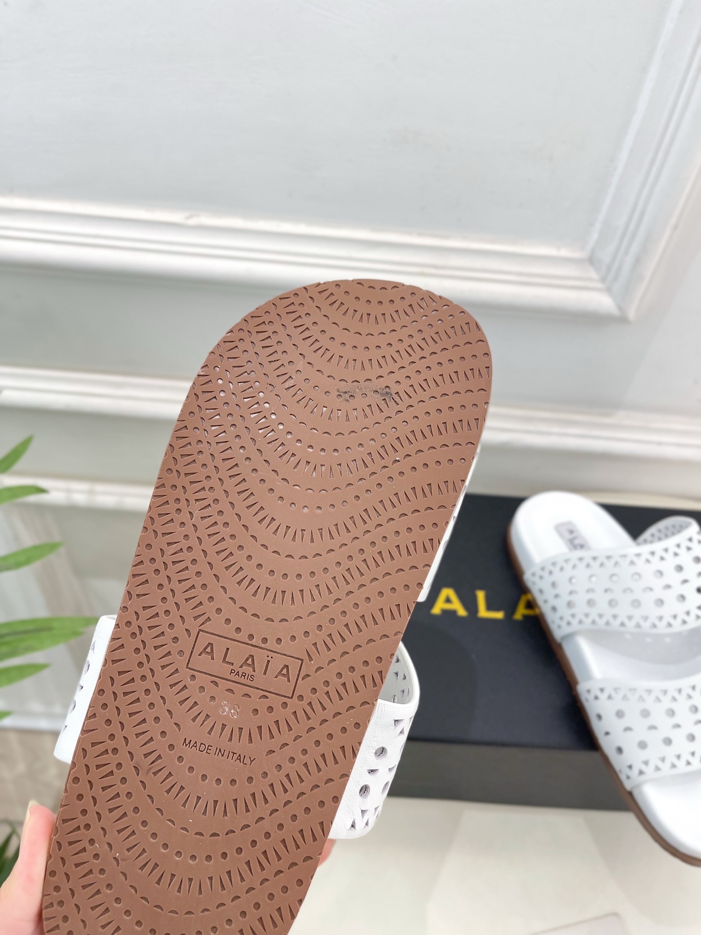 ALAÏA 阿莱亚25SS春夏新品 镂空休闲平底鞋
—————————
Alaïa作为这两年最受欢迎的鬼