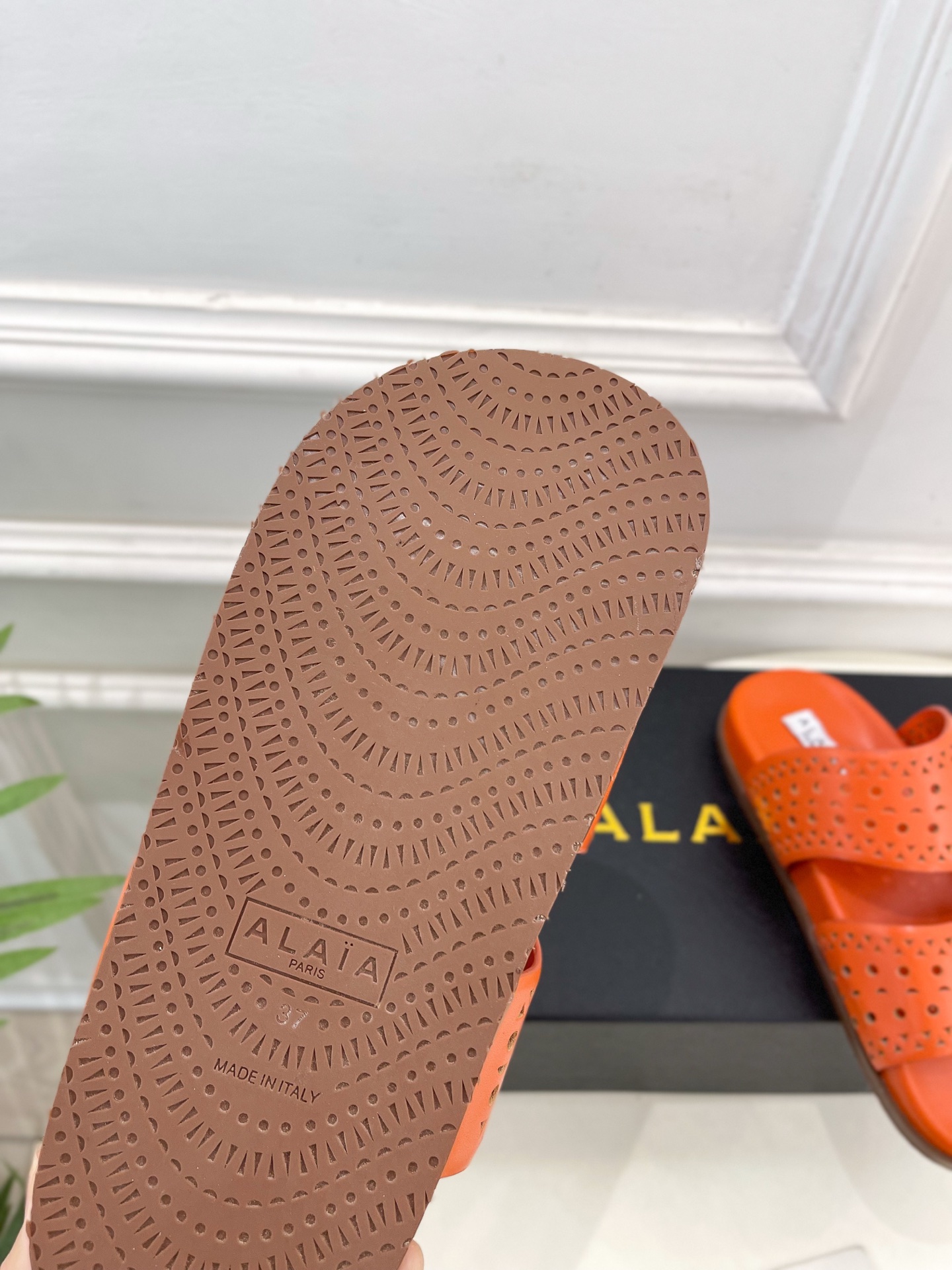ALAÏA 阿莱亚25SS春夏新品 镂空休闲平底鞋
—————————
Alaïa作为这两年最受欢迎的鬼