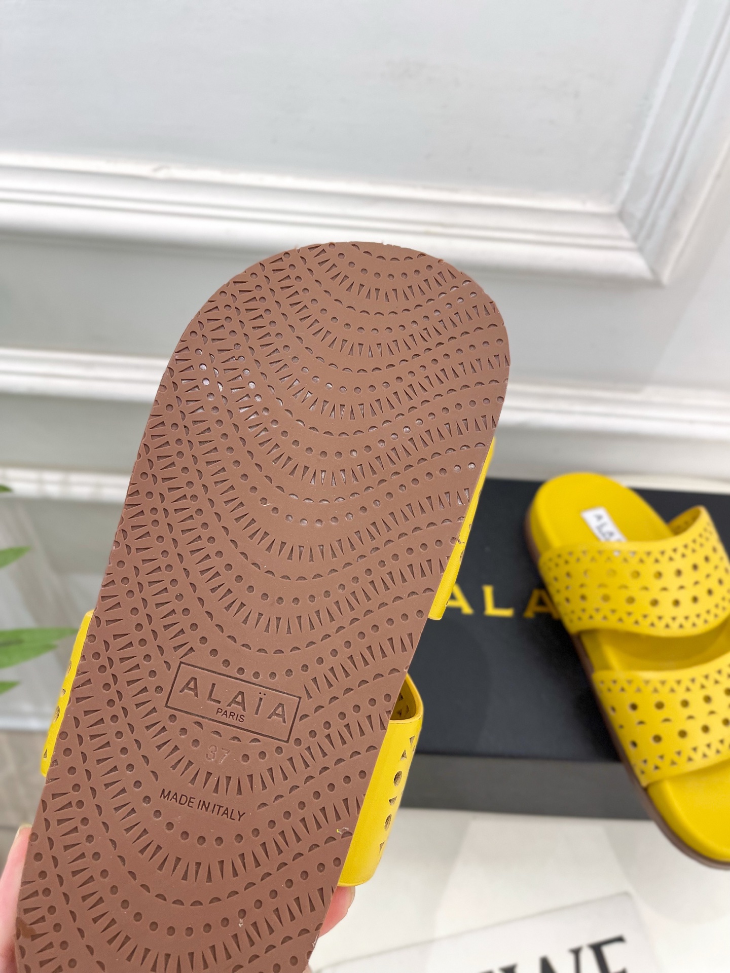 ALAÏA 阿莱亚25SS春夏新品 镂空休闲平底鞋
—————————
Alaïa作为这两年最受欢迎的鬼