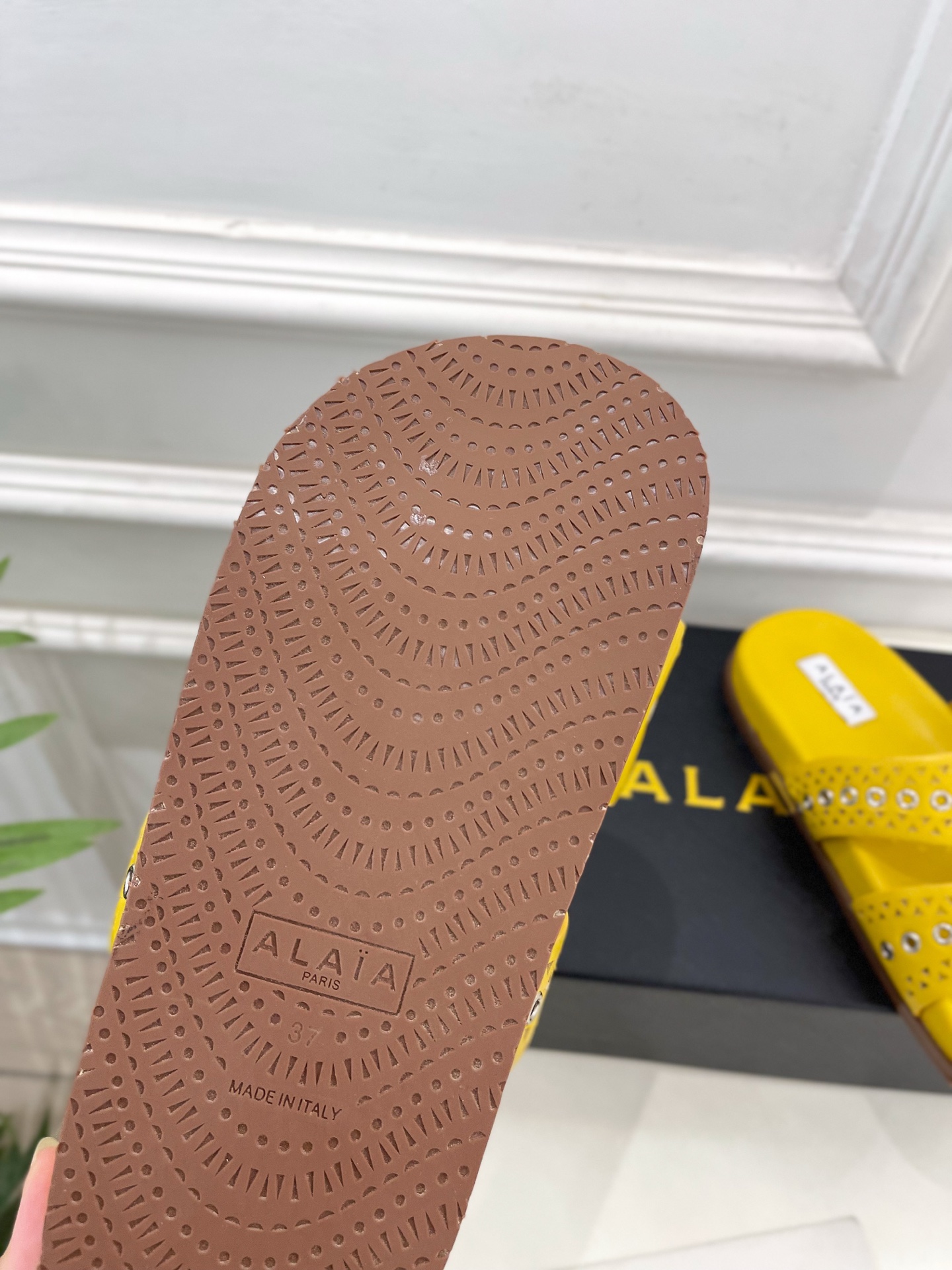 ALAÏA 阿莱亚25SS春夏新品 镂空鸡眼休闲平底鞋
—————————
Alaïa作为这两年最受欢迎