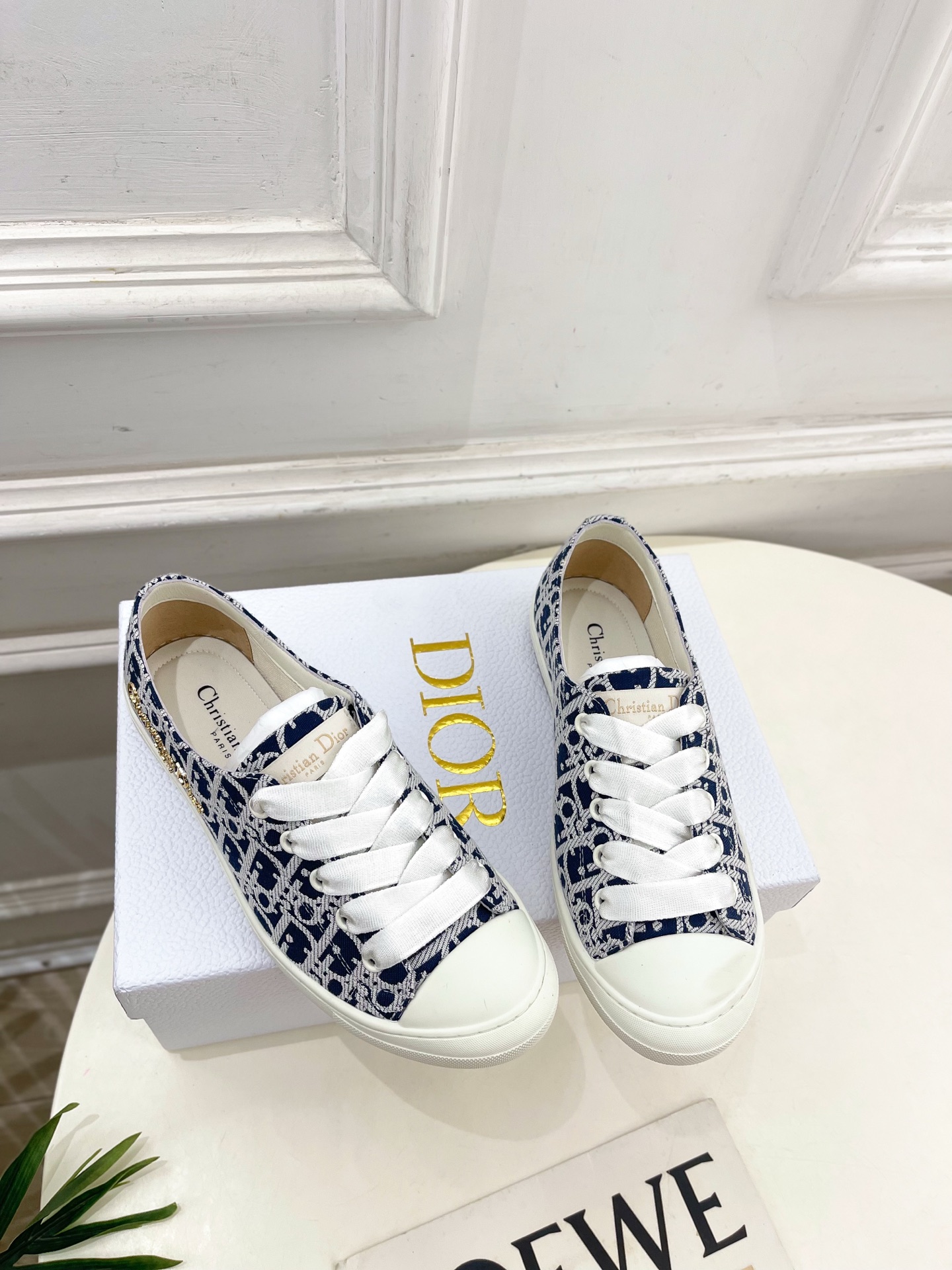 
Dior |  迪奥 25𝐬𝐬 

🧡💚2025春夏新品 顶级版本⚠️
专柜主打新款 Dior Luc