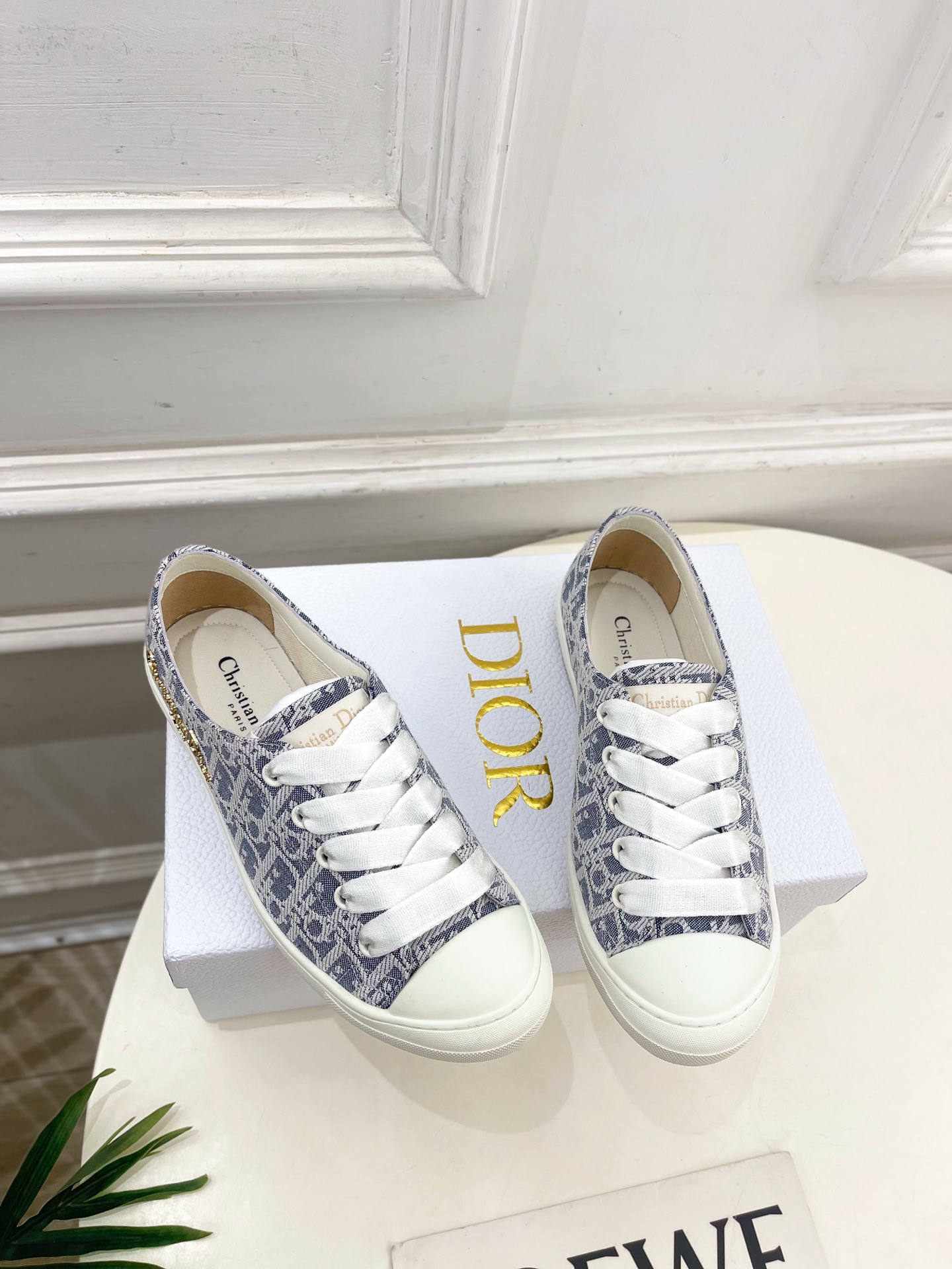 
Dior |  迪奥 25𝐬𝐬 

🧡💚2025春夏新品 顶级版本⚠️
专柜主打新款 Dior Luc
