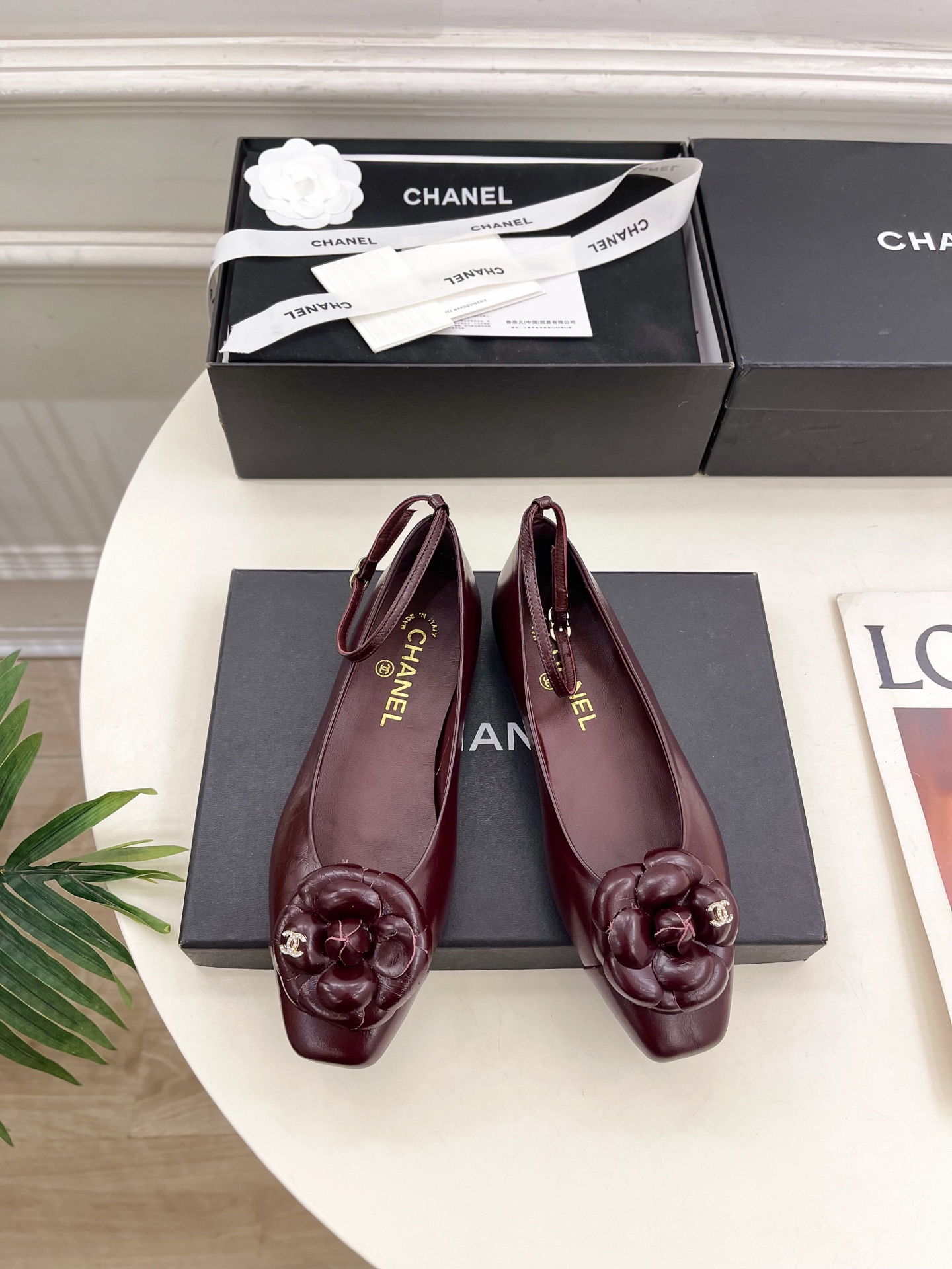 𝐂𝐇𝐀𝐍𝐄𝐋  | 小香  25𝐬𝐬 

🦋2025 春夏新品 小香山茶花玛丽珍方头单鞋系列上新〰

🍬