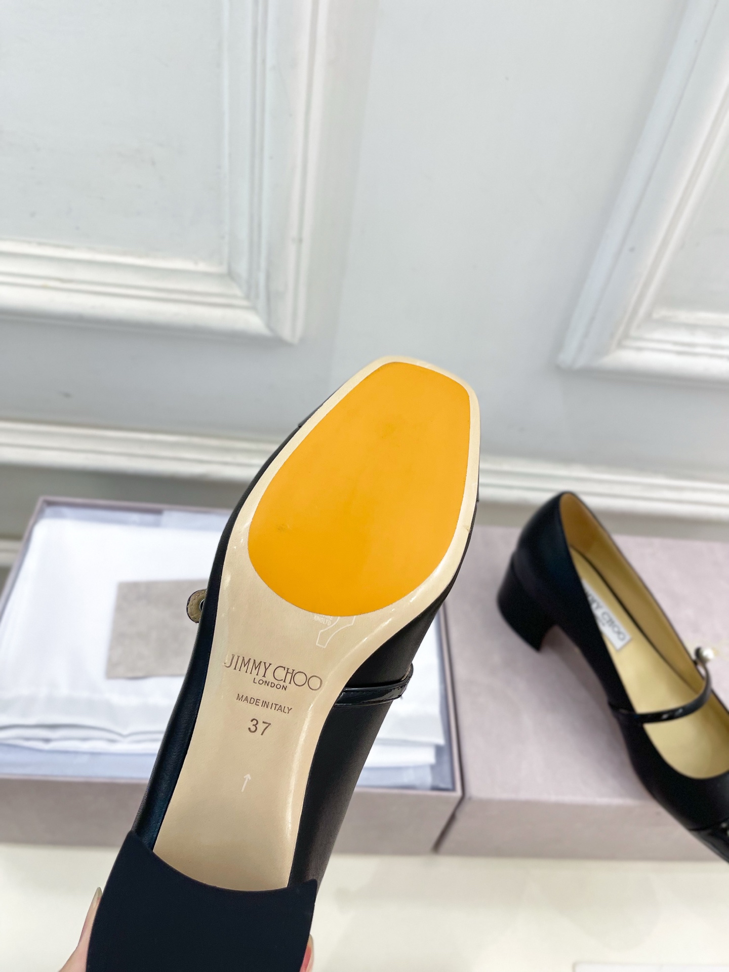 JimmyChoo✨吉米周 25ss ——— 2025秋冬新品 专柜最新 ELISA 45拼色珍珠粗跟玛