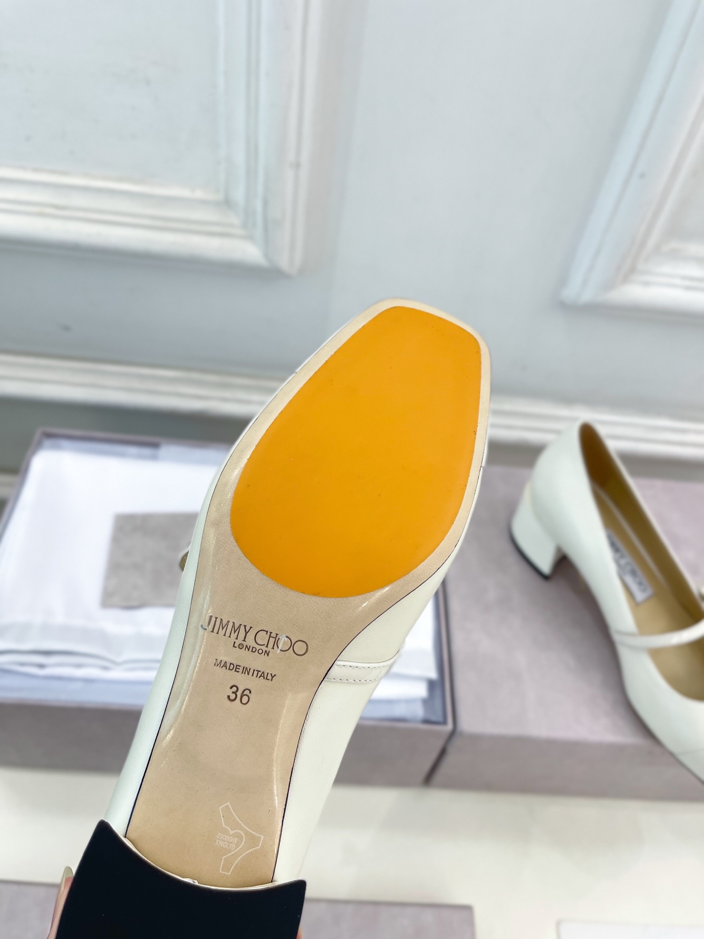 JimmyChoo✨吉米周 25ss ——— 2025秋冬新品 专柜最新 ELISA 45拼色珍珠粗跟玛