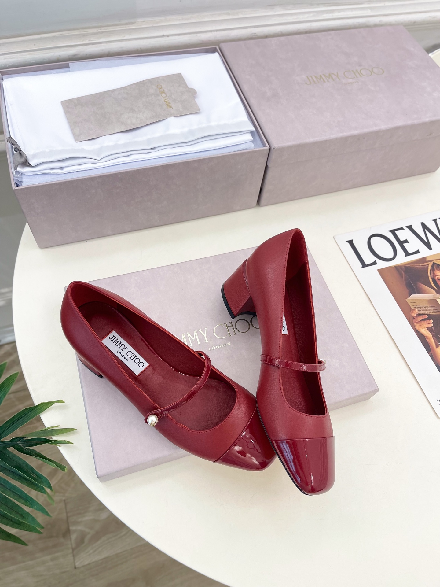 JimmyChoo✨吉米周 25ss ——— 2025秋冬新品 专柜最新 ELISA 45拼色珍珠粗跟玛