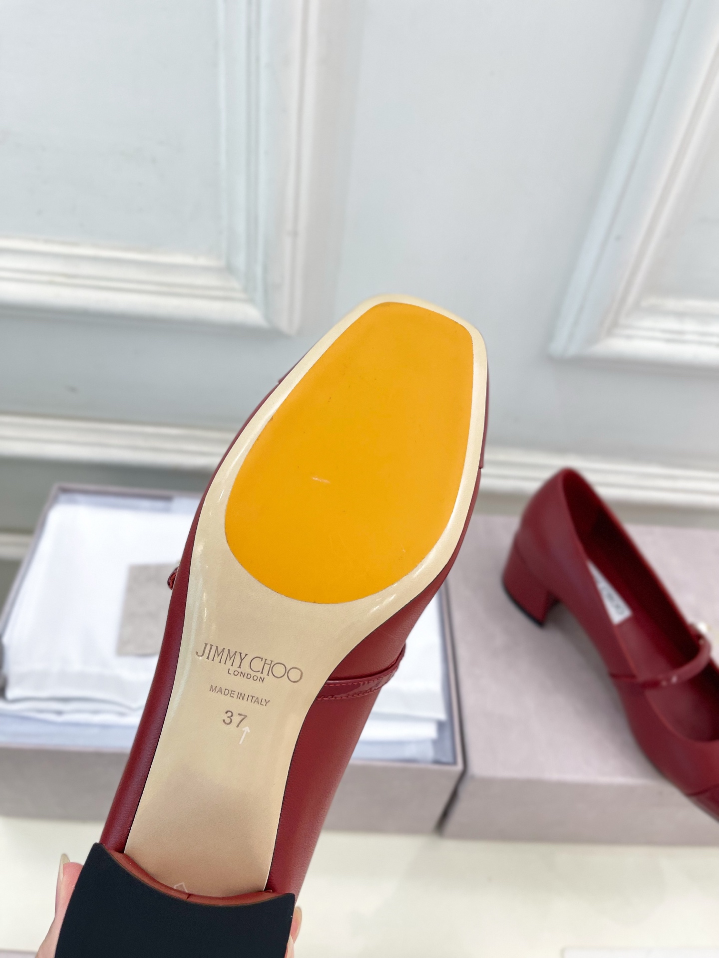 JimmyChoo✨吉米周 25ss ——— 2025秋冬新品 专柜最新 ELISA 45拼色珍珠粗跟玛