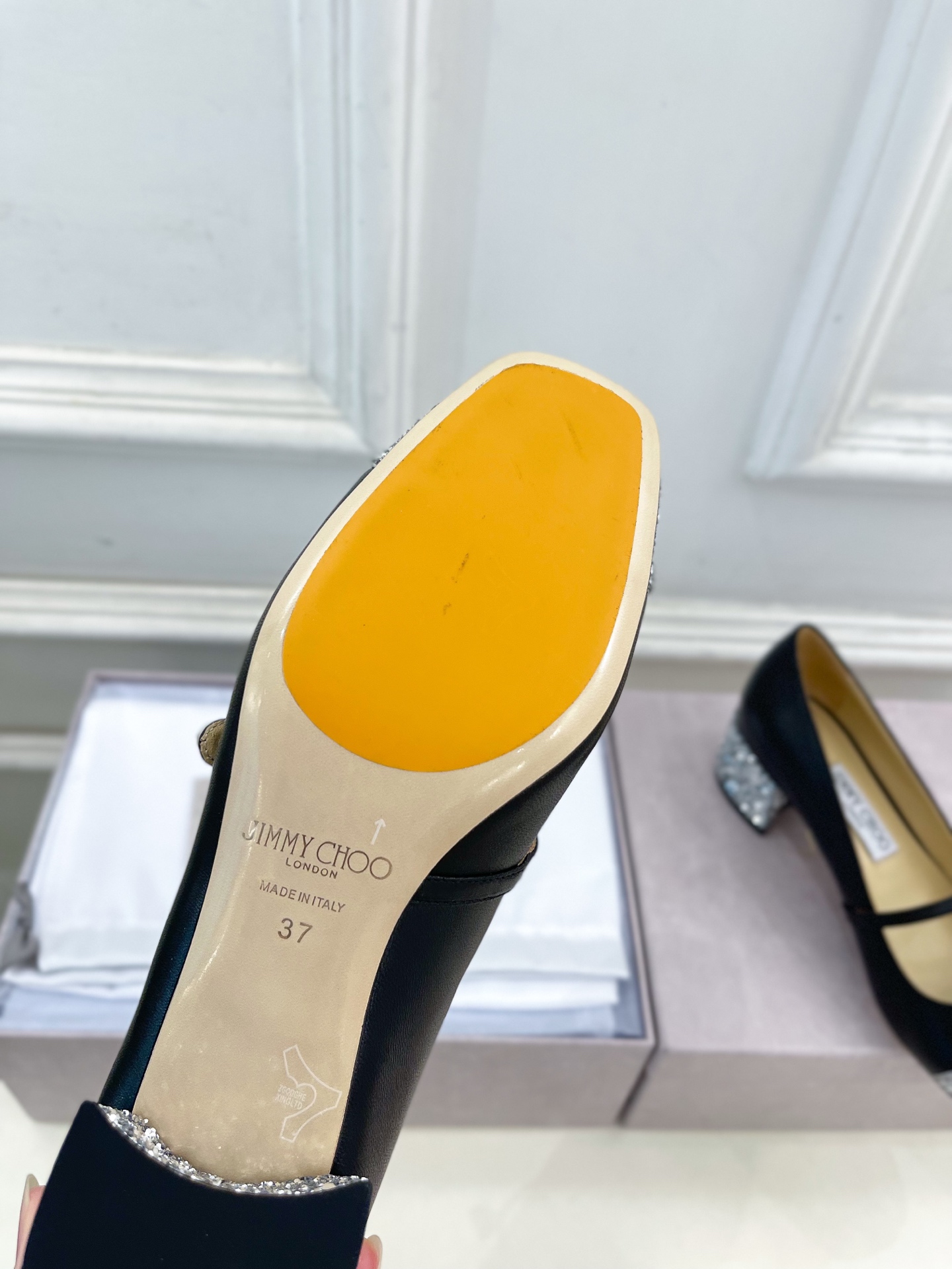 JimmyChoo✨吉米周 25ss ——— 2025秋冬新品 专柜最新 ELISA 45拼色珍珠粗跟玛