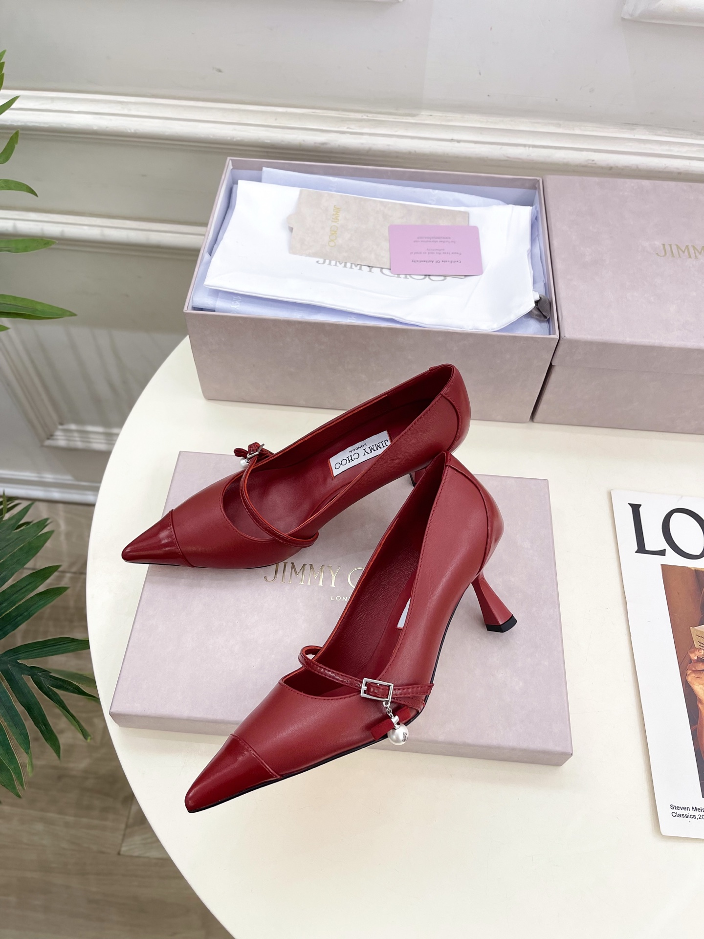 JimmyChoo✨吉米周 25ss ——— 2025BS春夏新品 专柜最新AREN PUM珍珠吊饰尖头